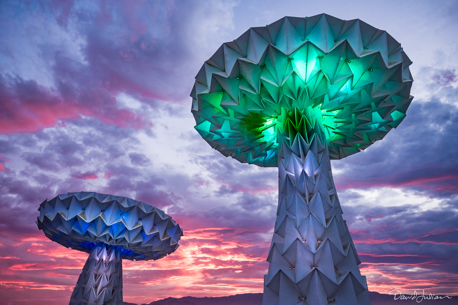 ©David Julian_Burning Man-3497.jpg