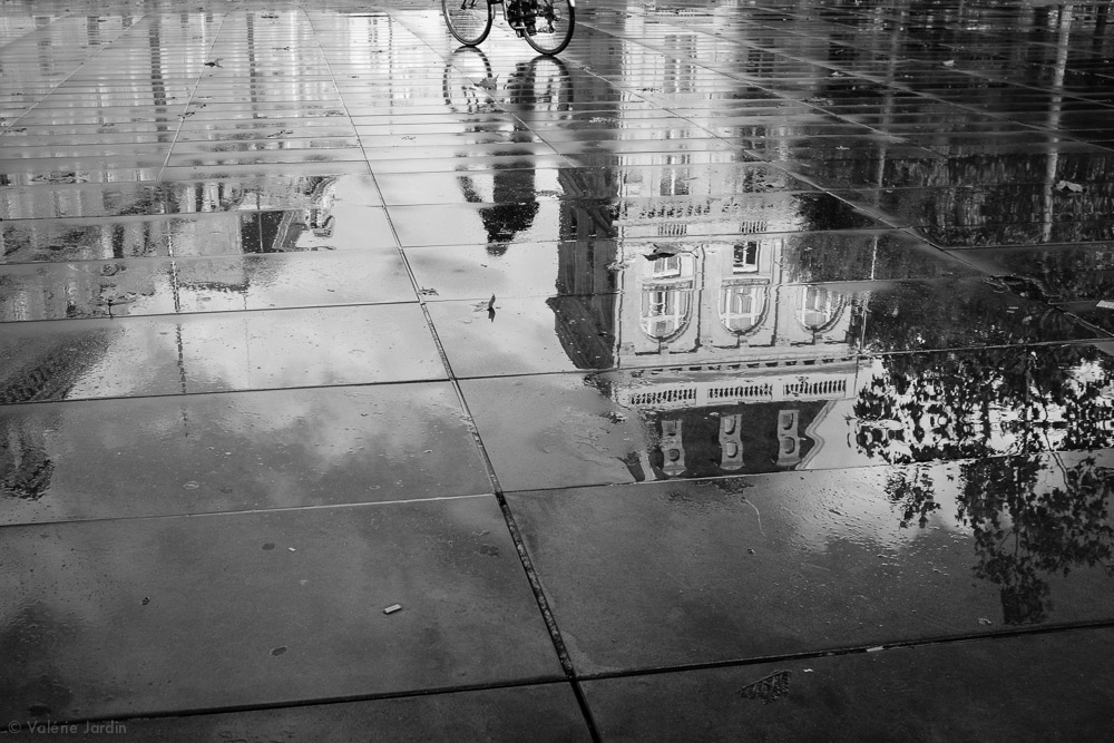 ©Valerie Jardin  ~ reflections-13.jpg