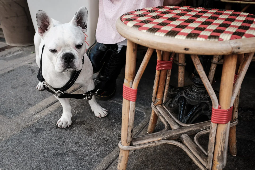 ©Valerie Jardin - Cafe Chairs-33.jpg