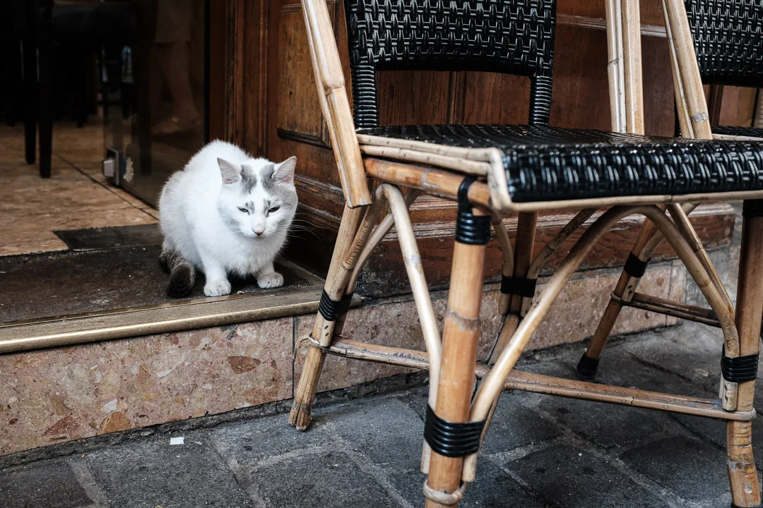 ©Valerie Jardin - Cafe Chairs-40.jpg