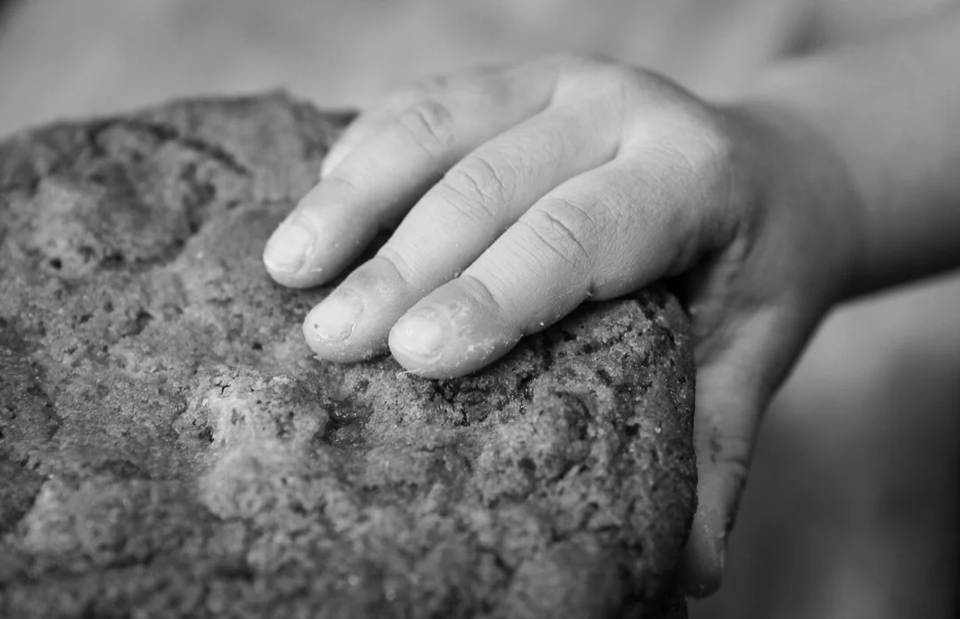 ©Valerie Jardin - Child hands-1.jpg