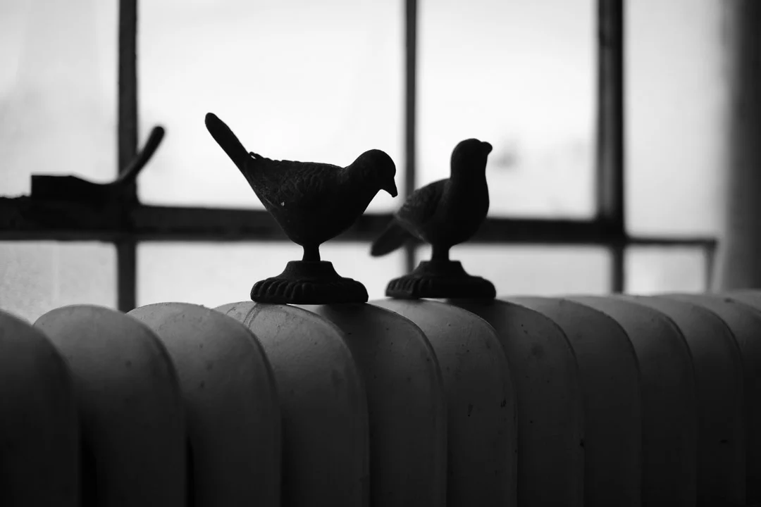 ©Valerie Jardin - window-40.jpg