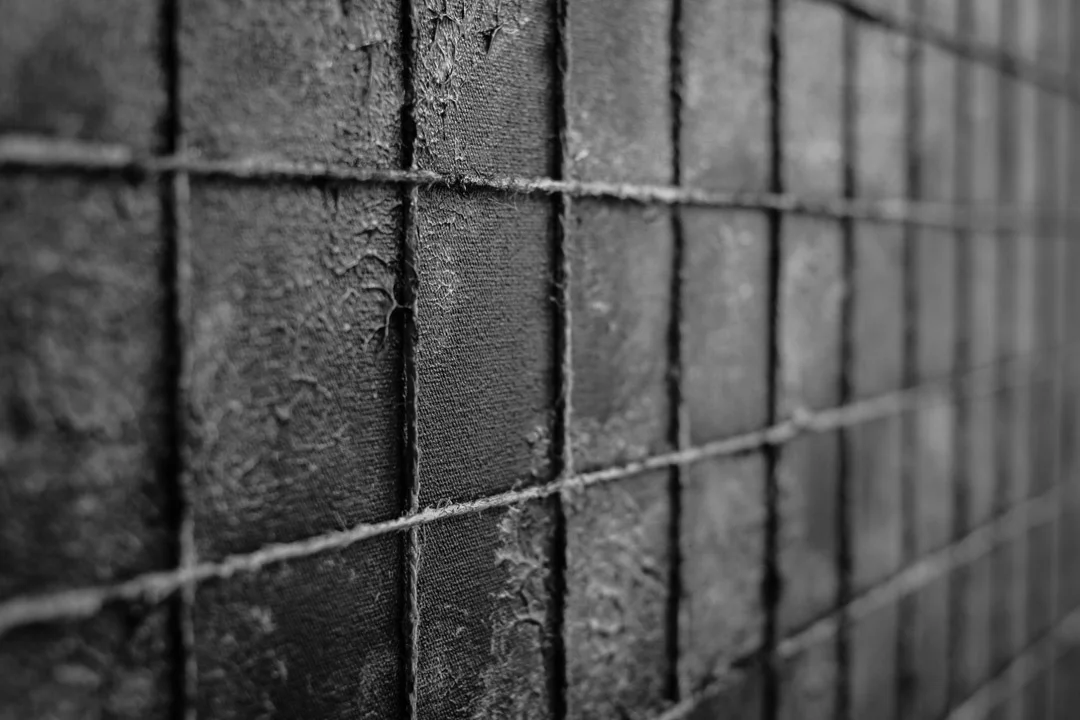 ©Valerie Jardin - Harriet Bart-15.jpg