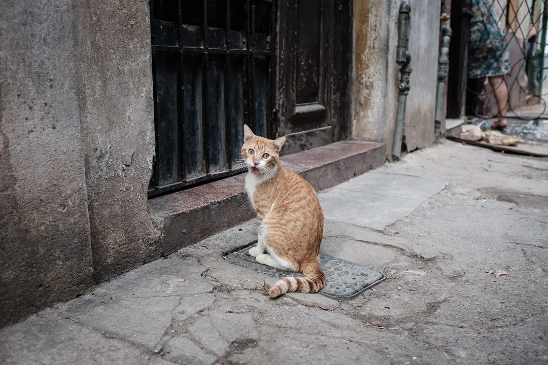 ©Valerie Jardin - Havana-17.jpg