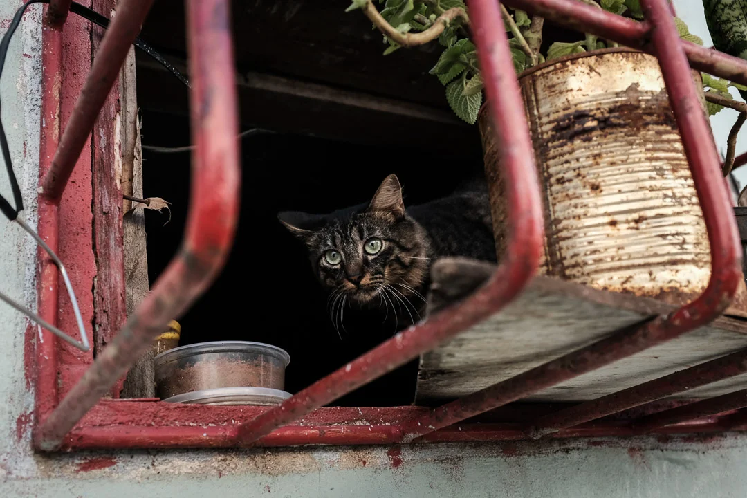 ©Valerie Jardin - Havana-22.jpg