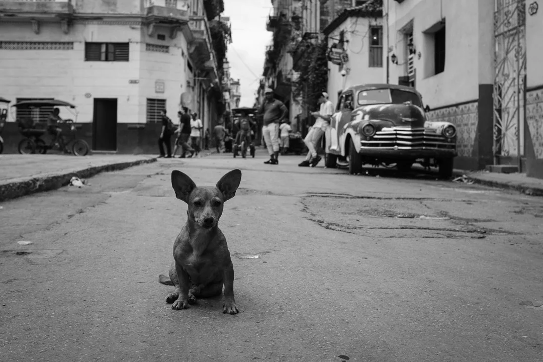 ©Valerie Jardin - Havana-54.jpg