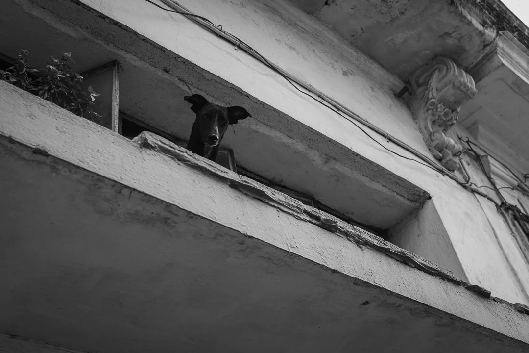 ©Valerie Jardin - Havana-56.jpg