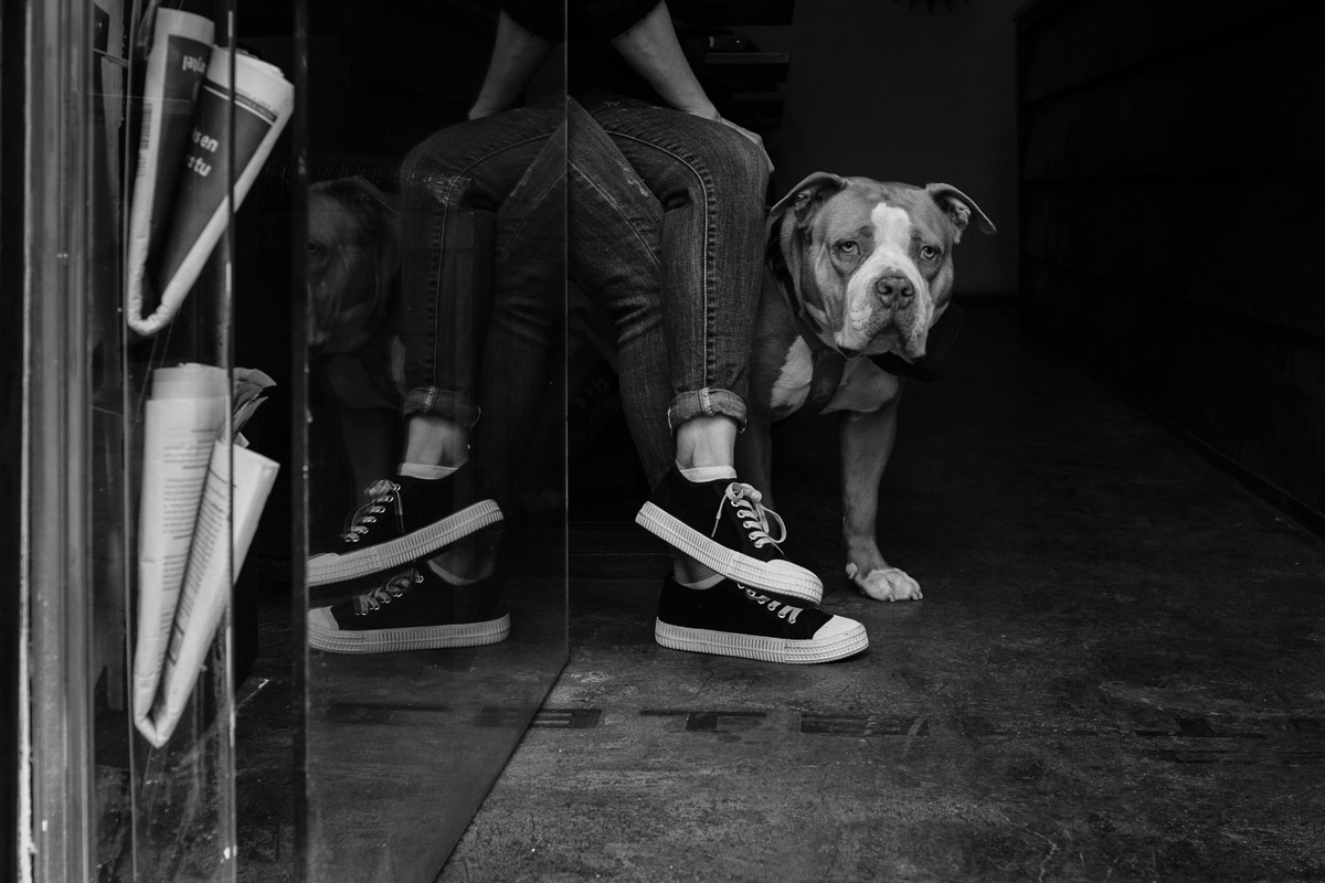 ©Valérie Jardin - BCN Dogs-4.jpg