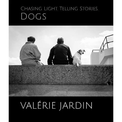 Chasing Light. Telling Stories. Dogs