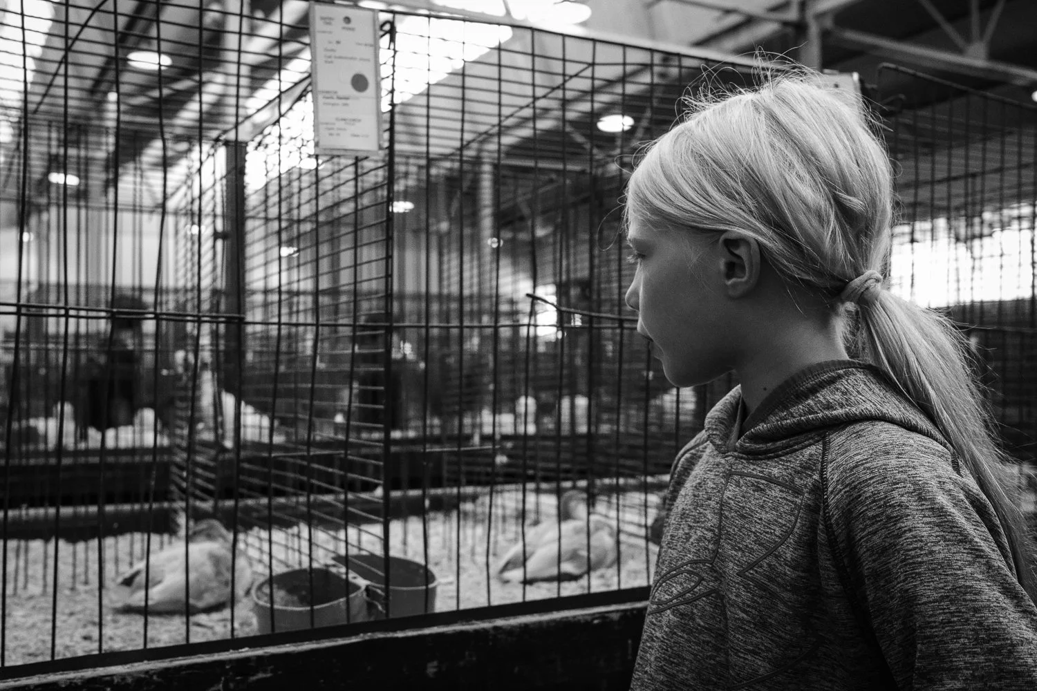 ©Valérie Jardin - fair 2025-2.jpg
