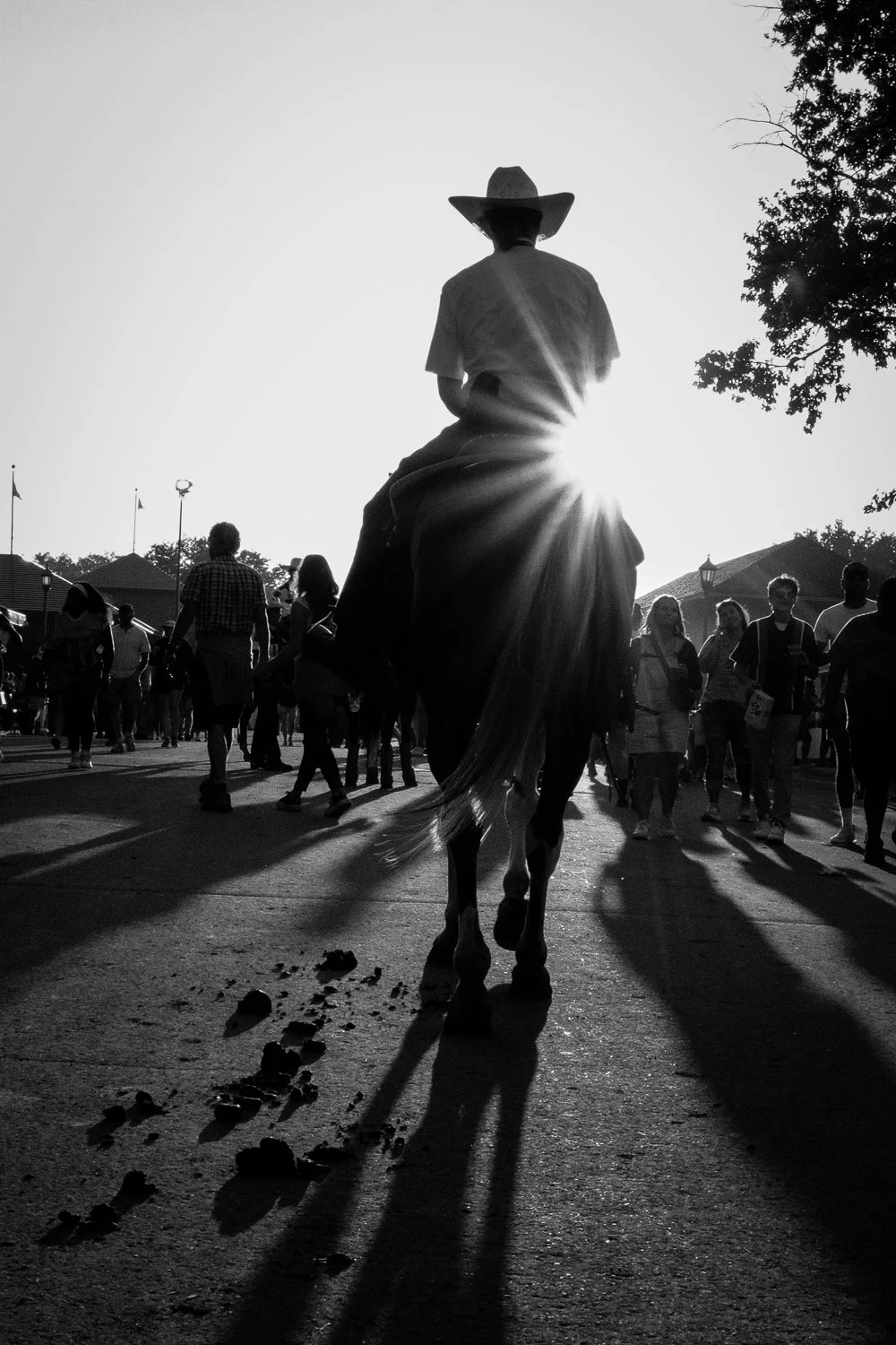 ©Valérie Jardin - fair 2025 sunset-3.jpg