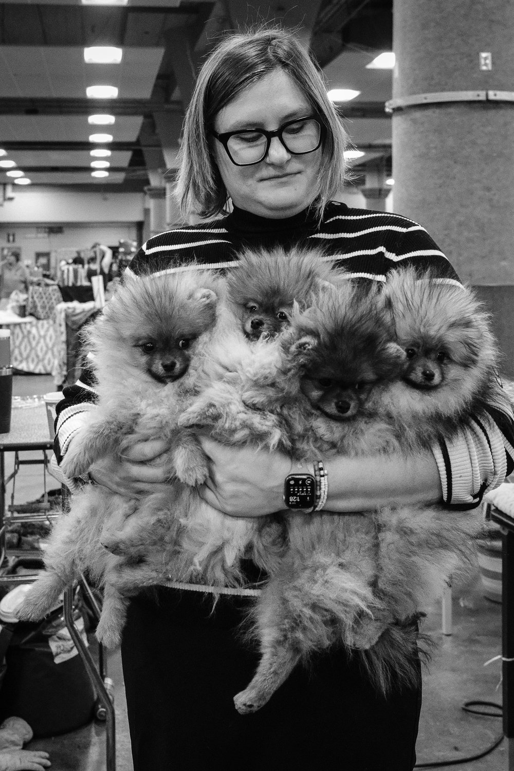 ©Valerie Jardin - dog show-1.jpg