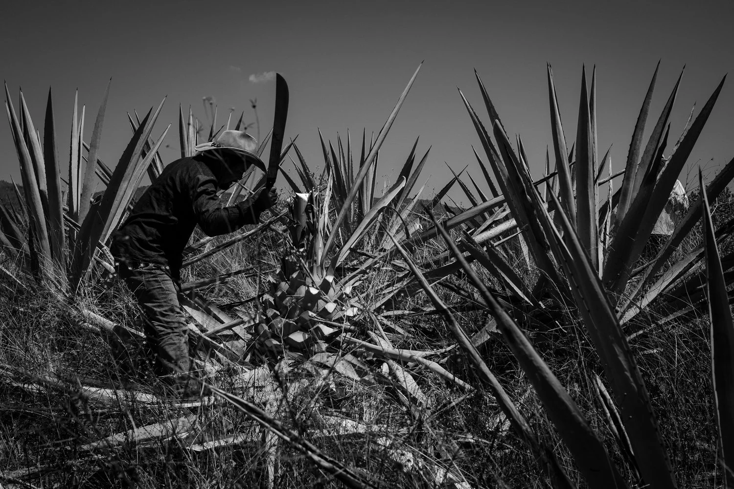 ©Valerie Jardin- Mezcal-21.jpg