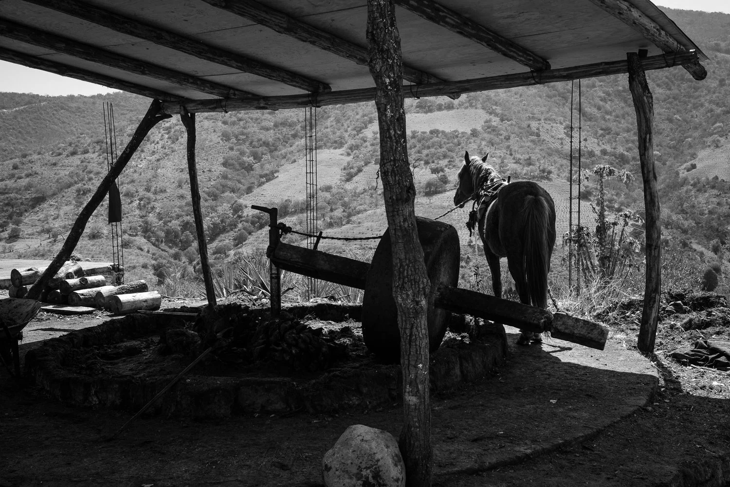 ©Valerie Jardin- Mezcal-23.jpg