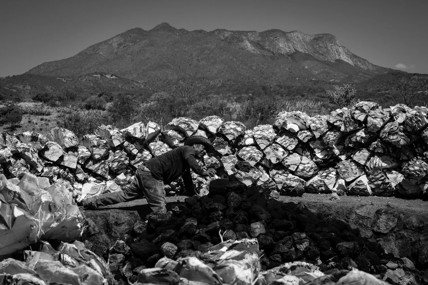 ©Valerie Jardin-Mezcal-2.jpg