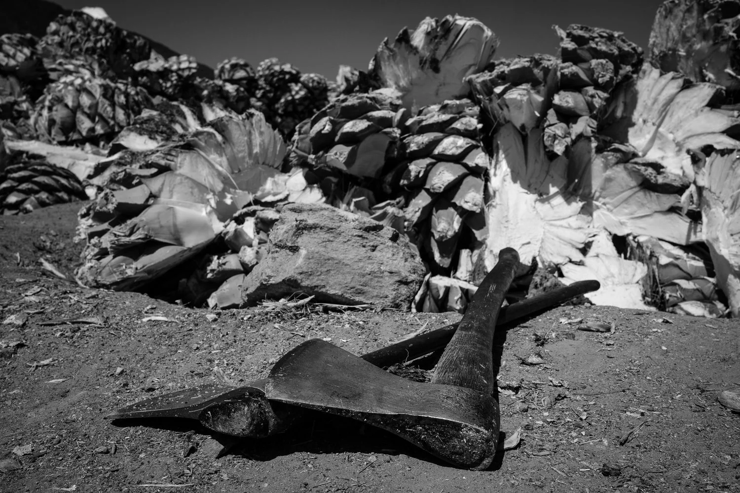 ©Valerie Jardin-Mezcal-3.jpg