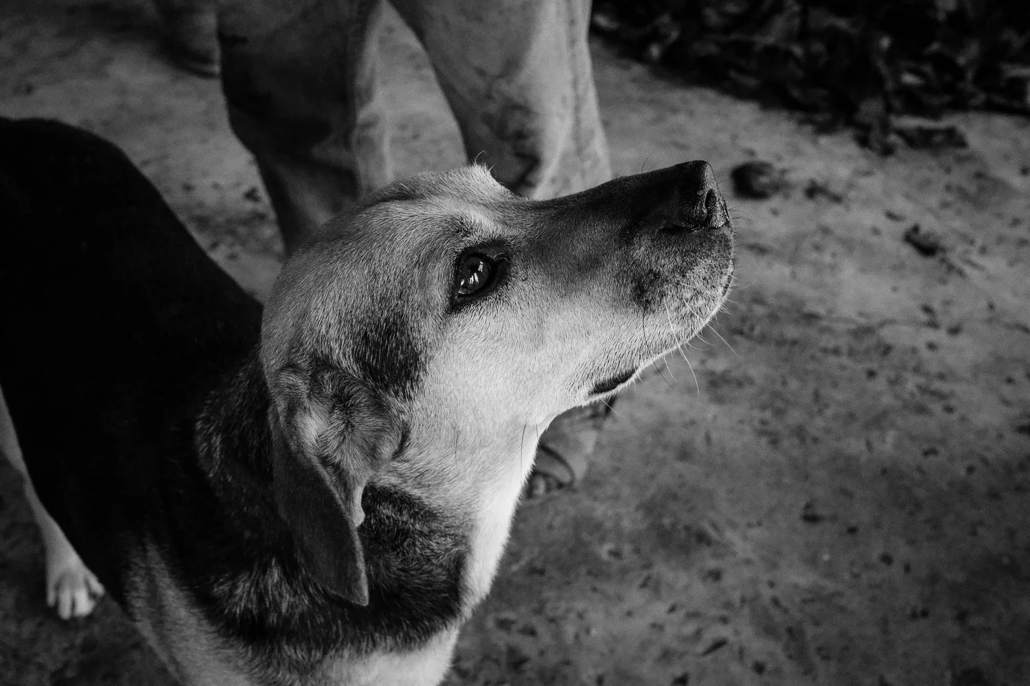 ©Valerie Jardin-Mezcal-4.jpg