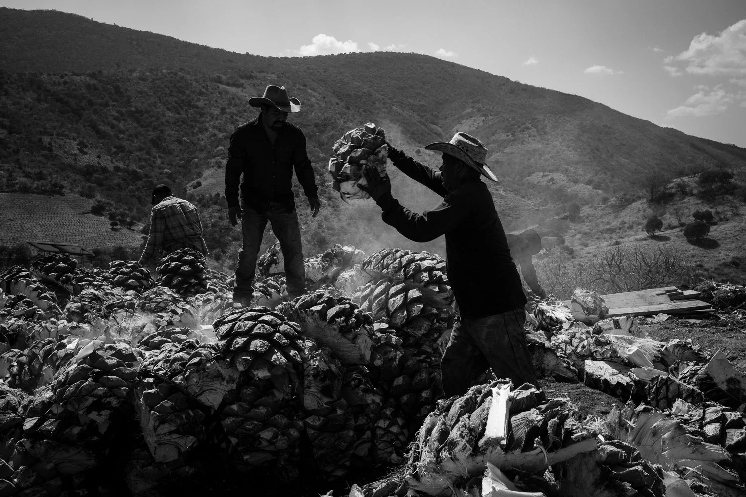 ©Valerie Jardin-Mezcal-12.jpg