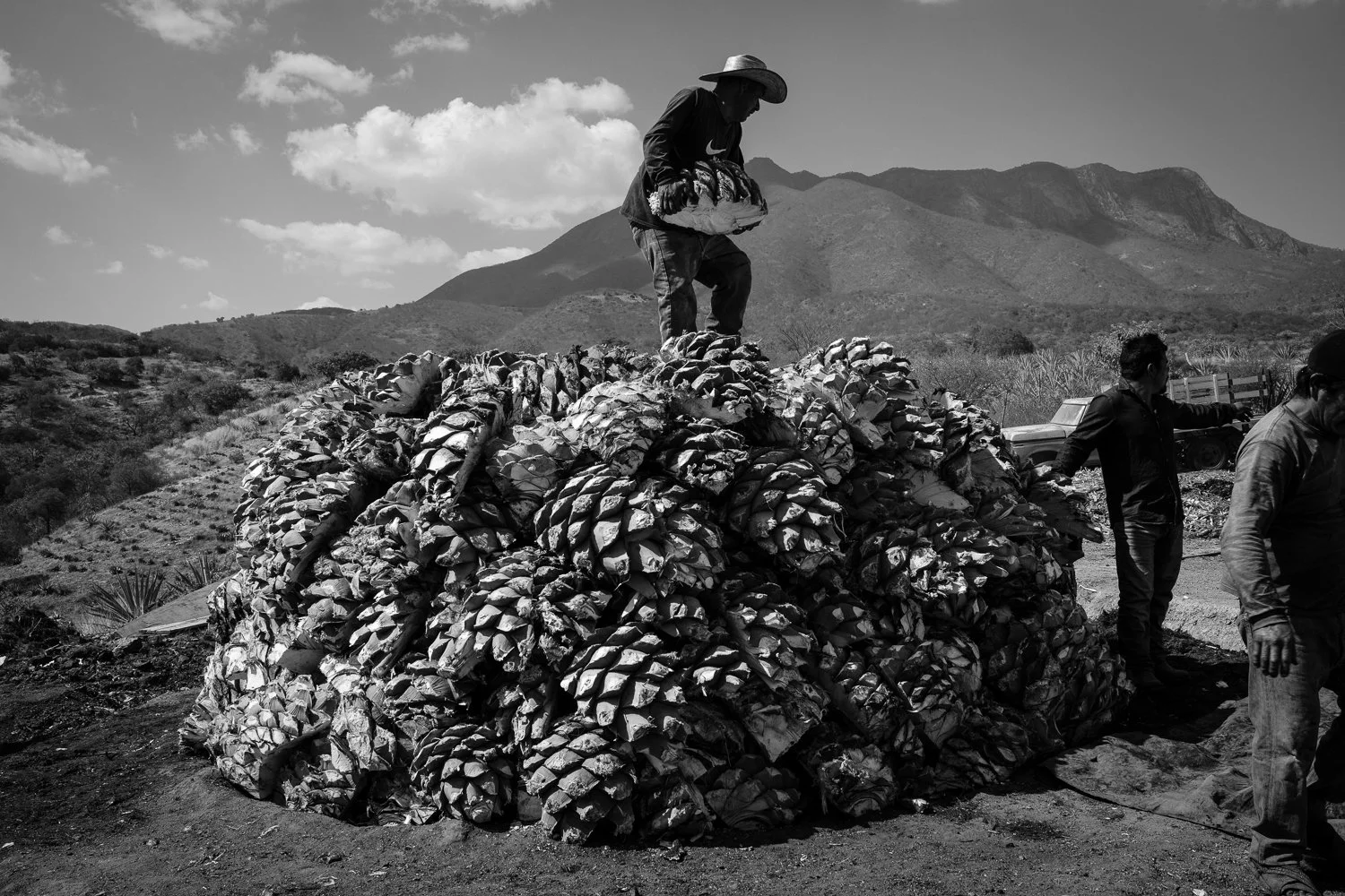 ©Valerie Jardin-Mezcal-14.jpg