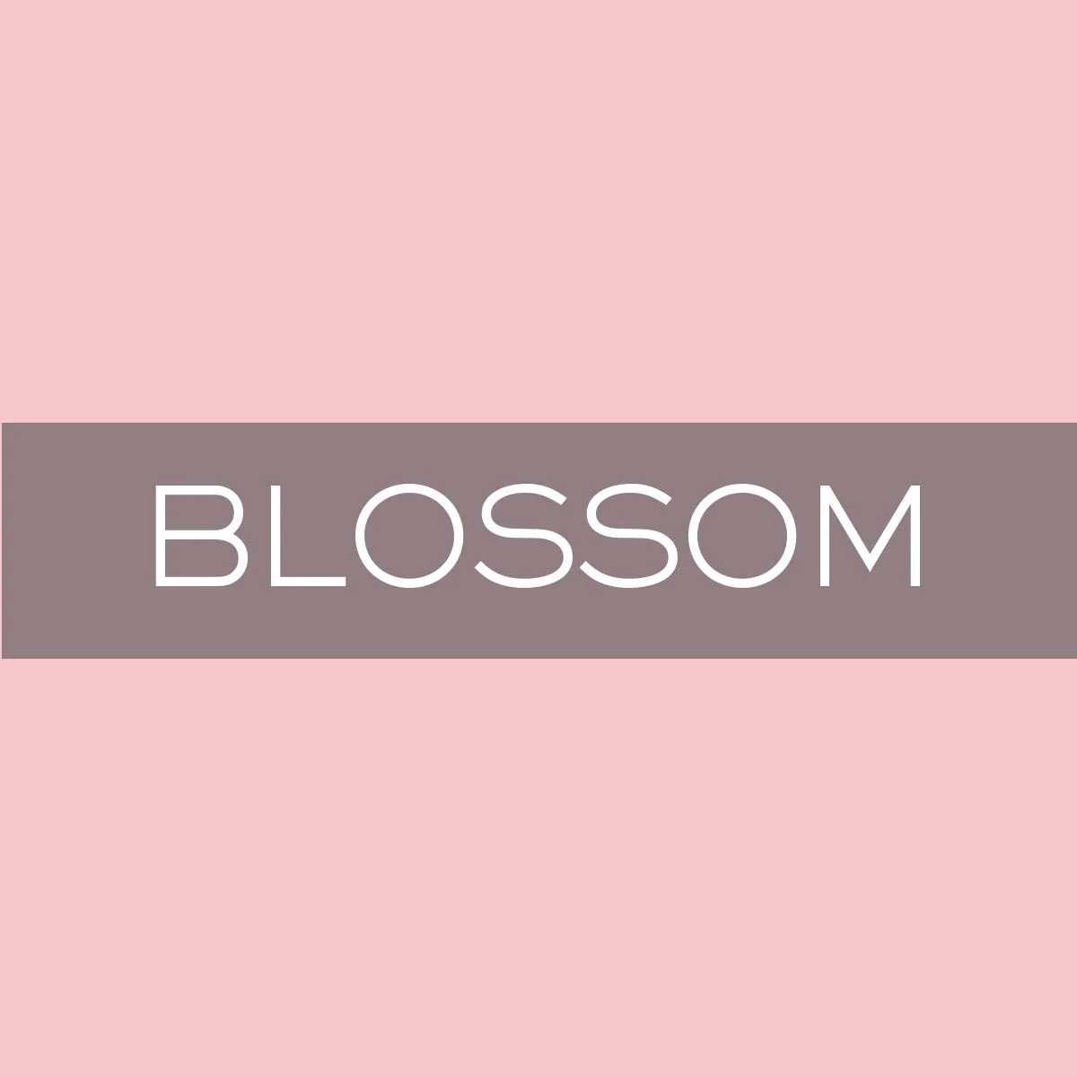 WNP_Blossom.jpg