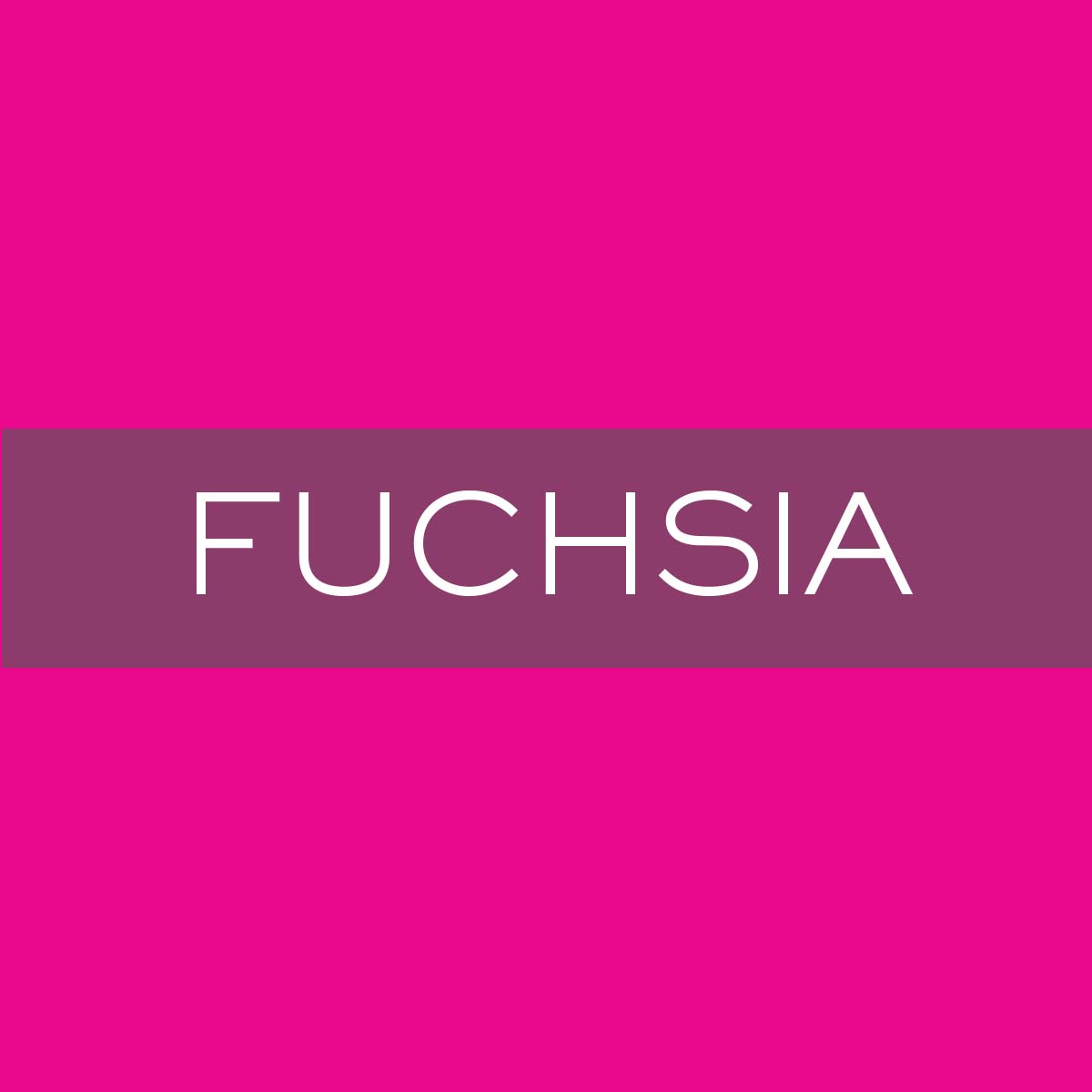 WNP_Fuchsia.jpg