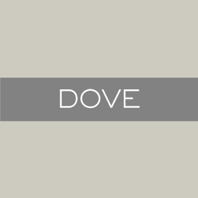 N&E-Dove.jpg