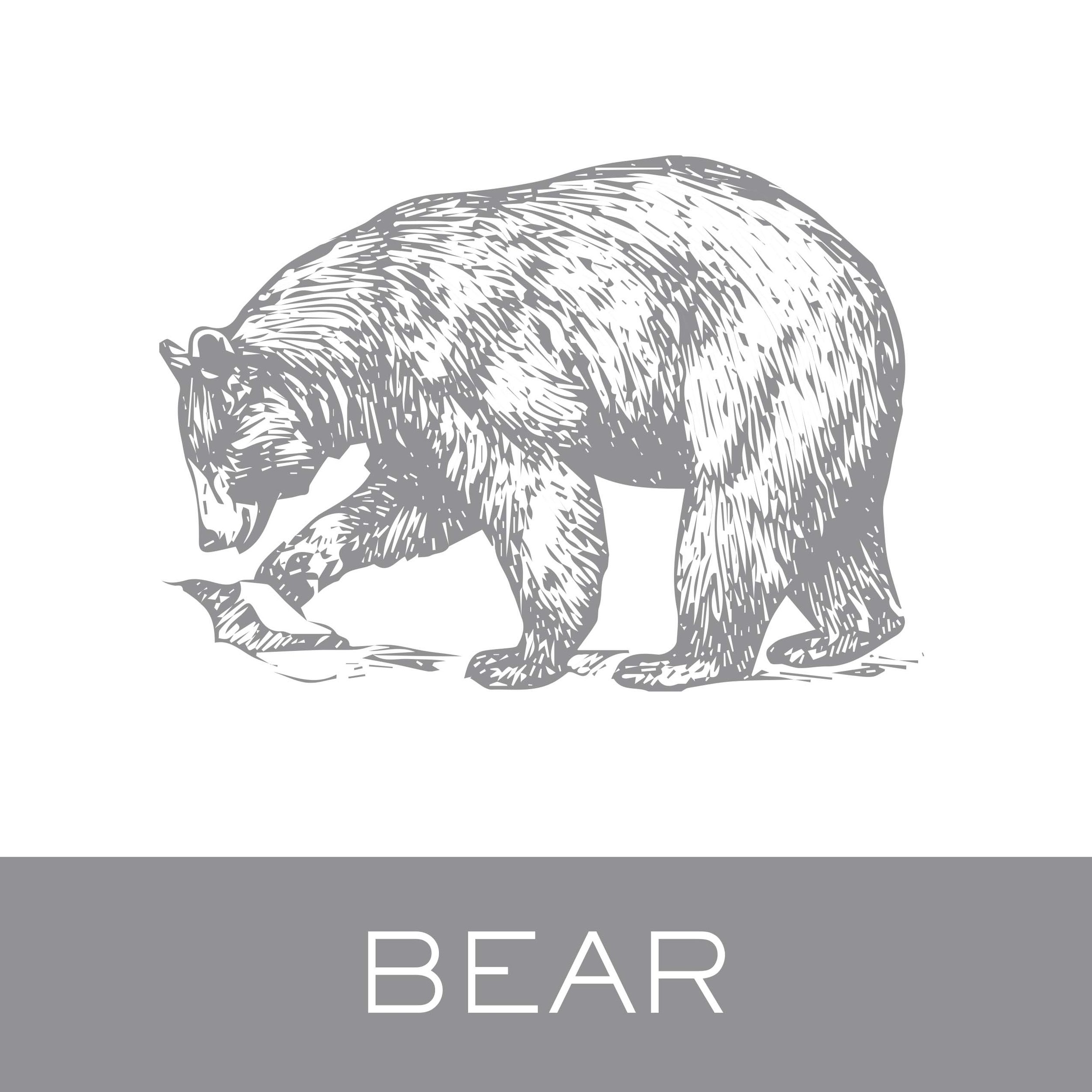 bear.jpg