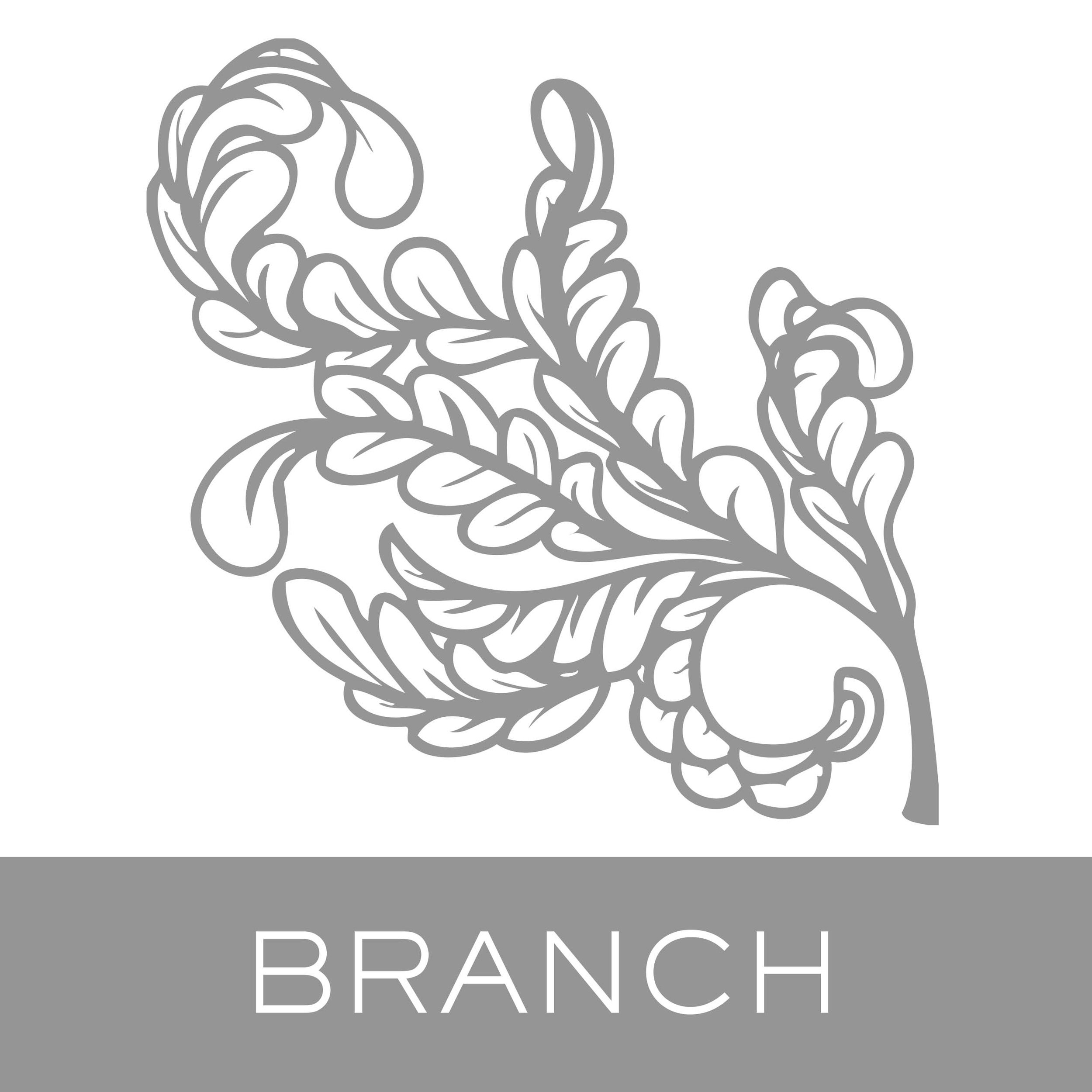 branch.jpg