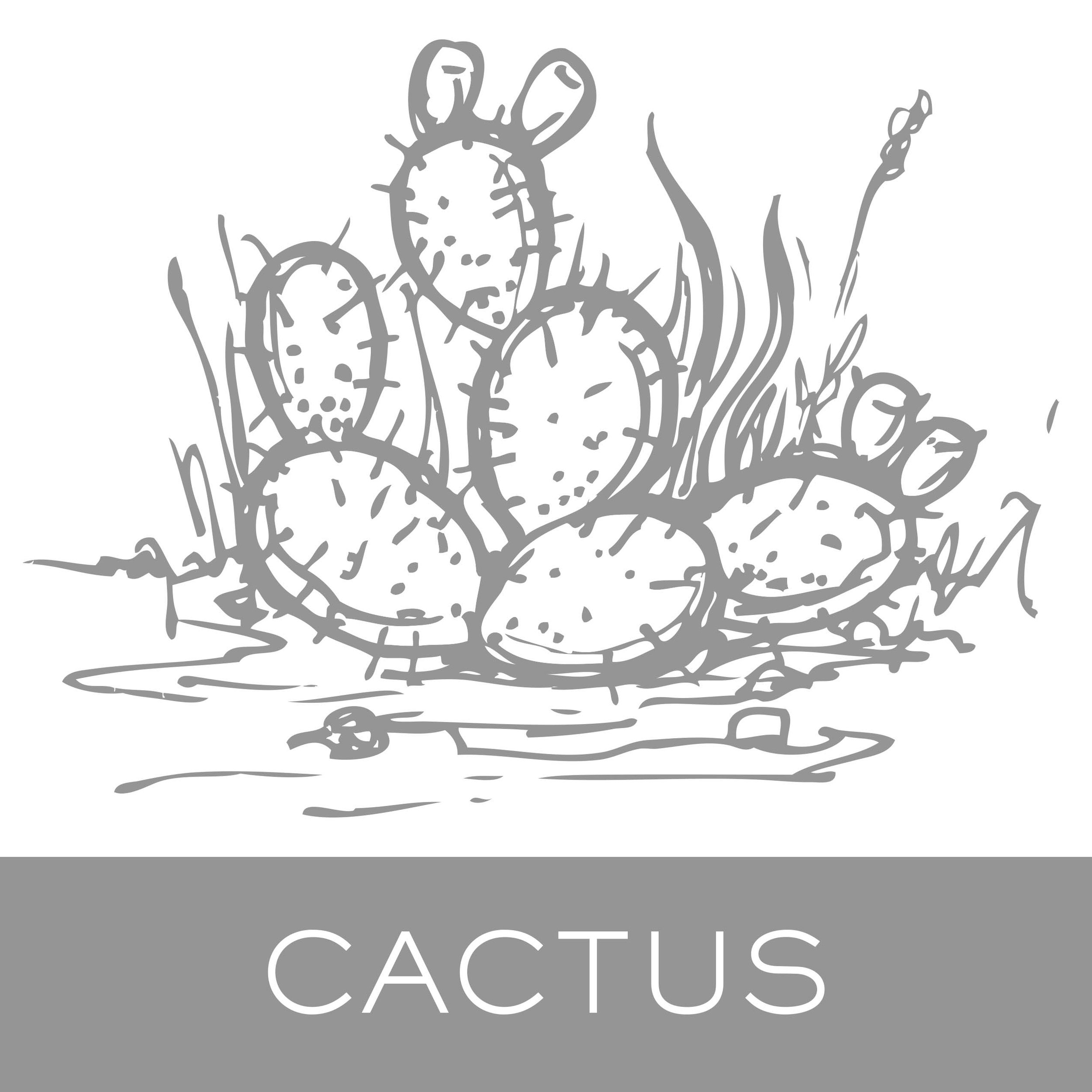 cactus.jpg