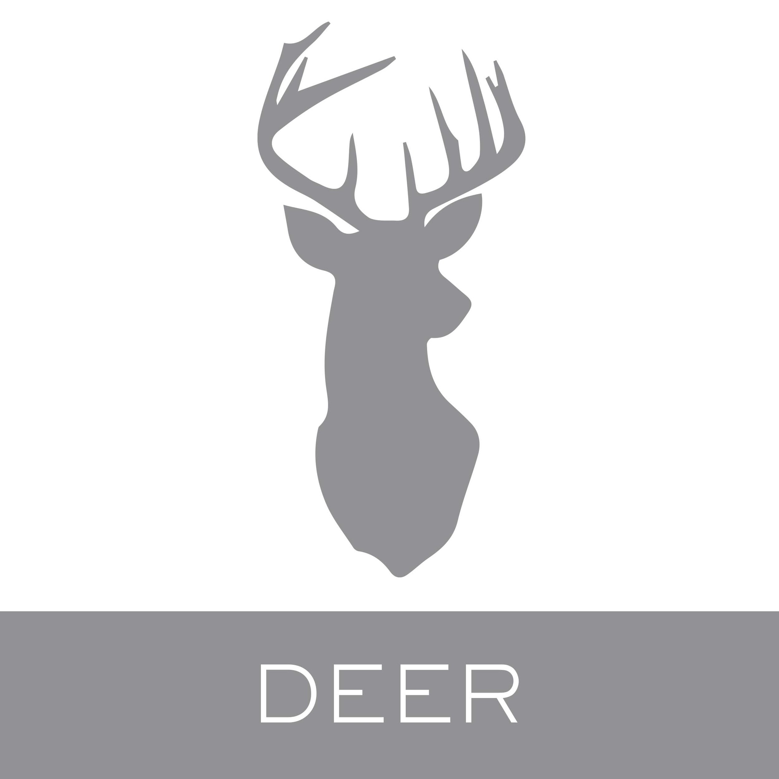 deer.jpg