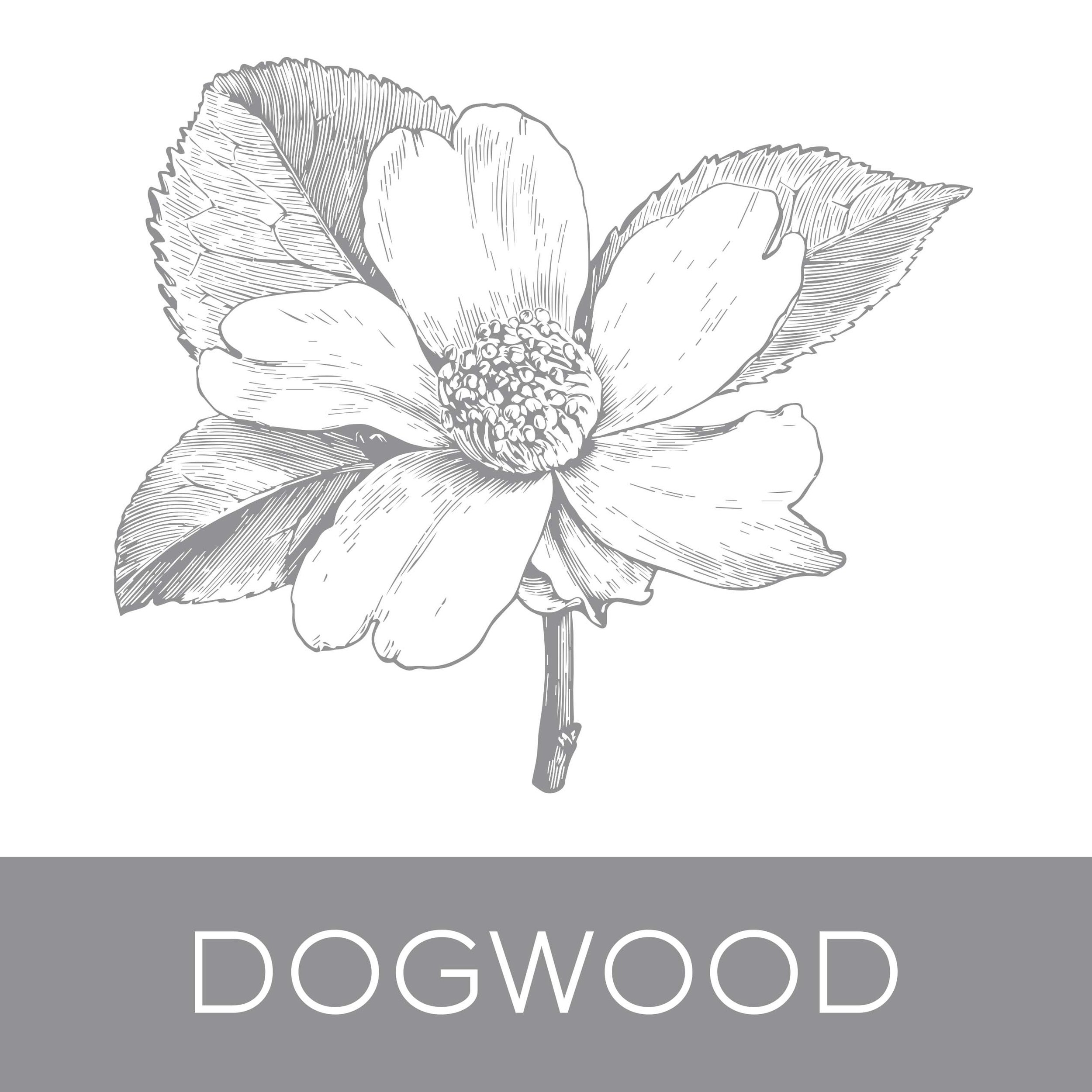 dogwood.jpg