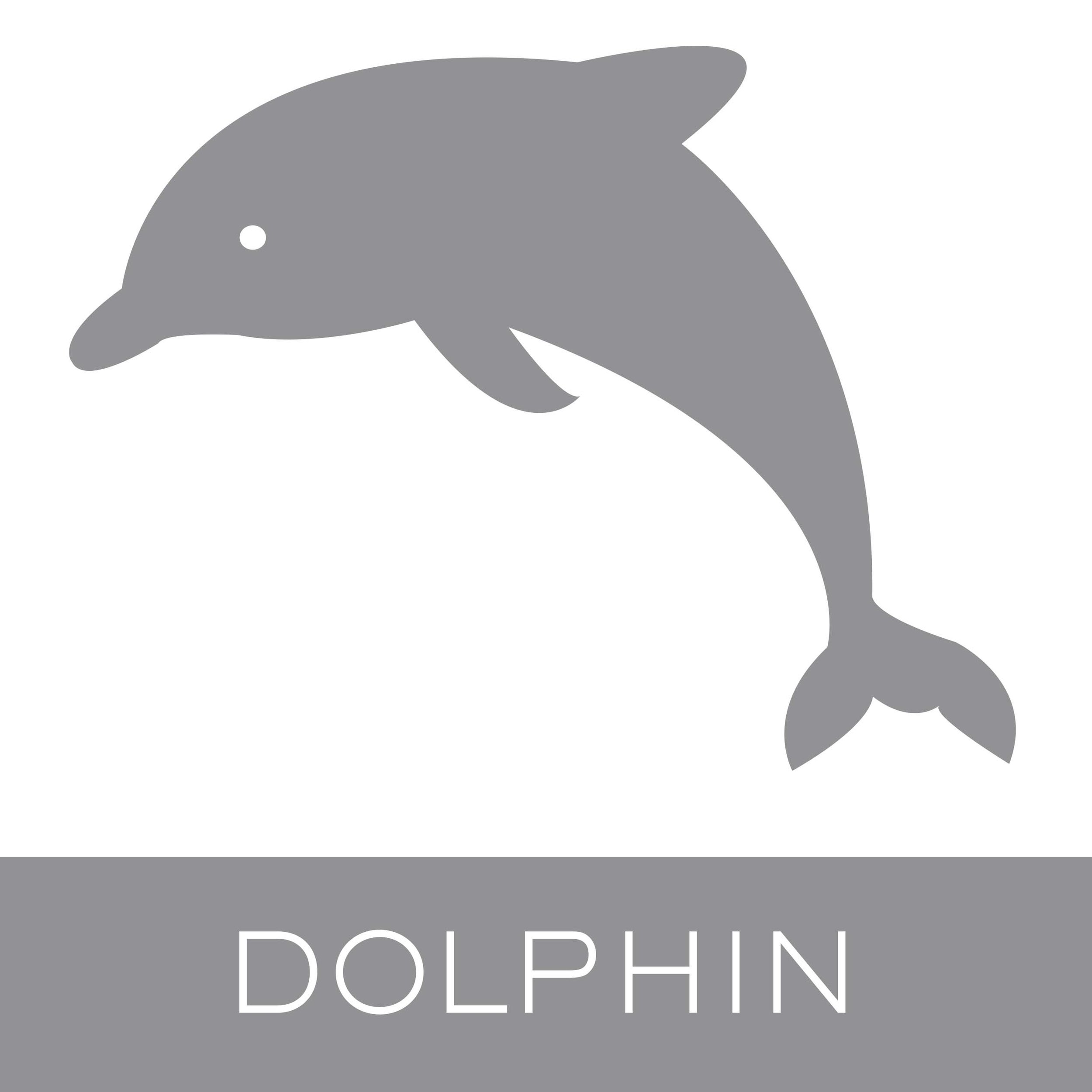 dolphin.jpg