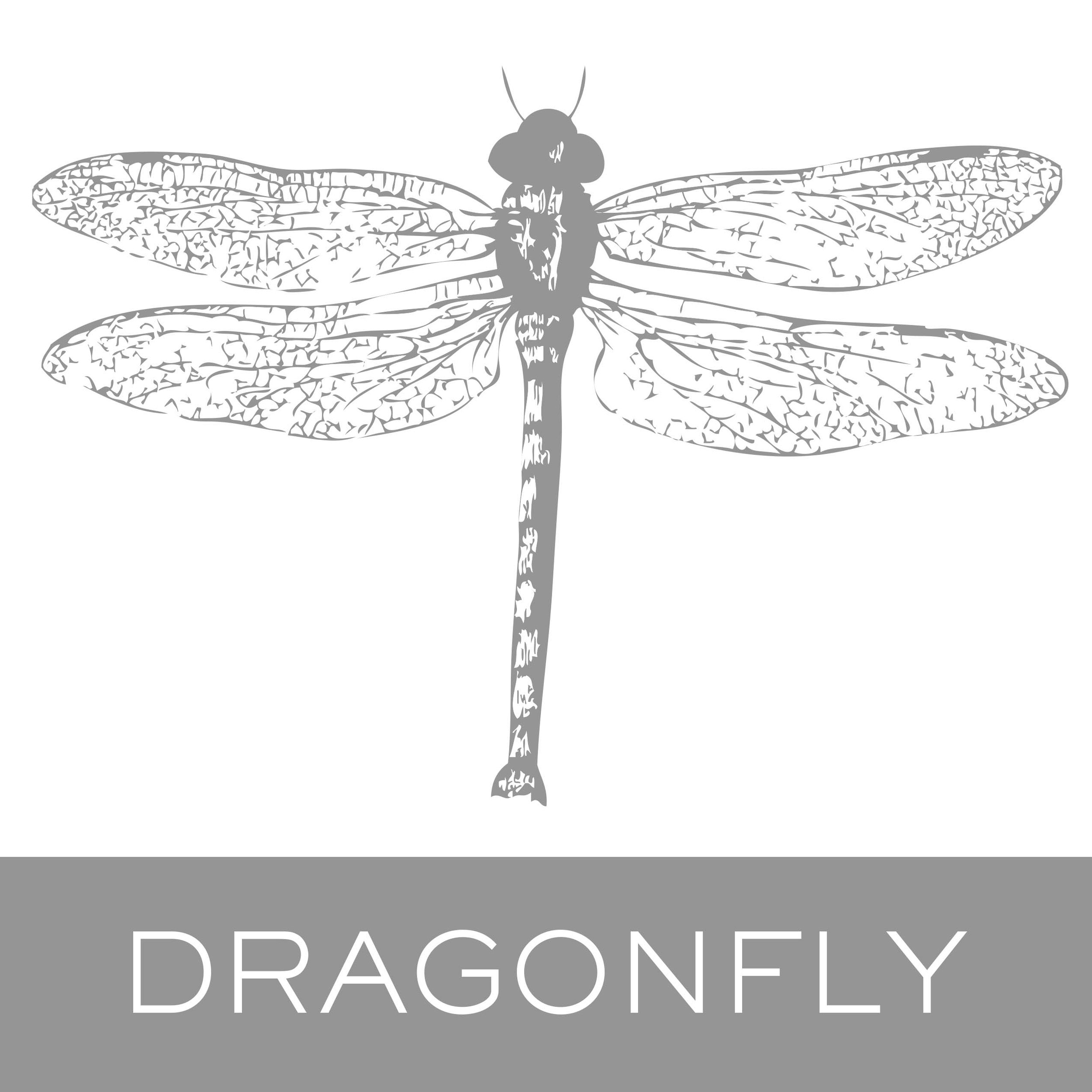 dragonfly.jpg