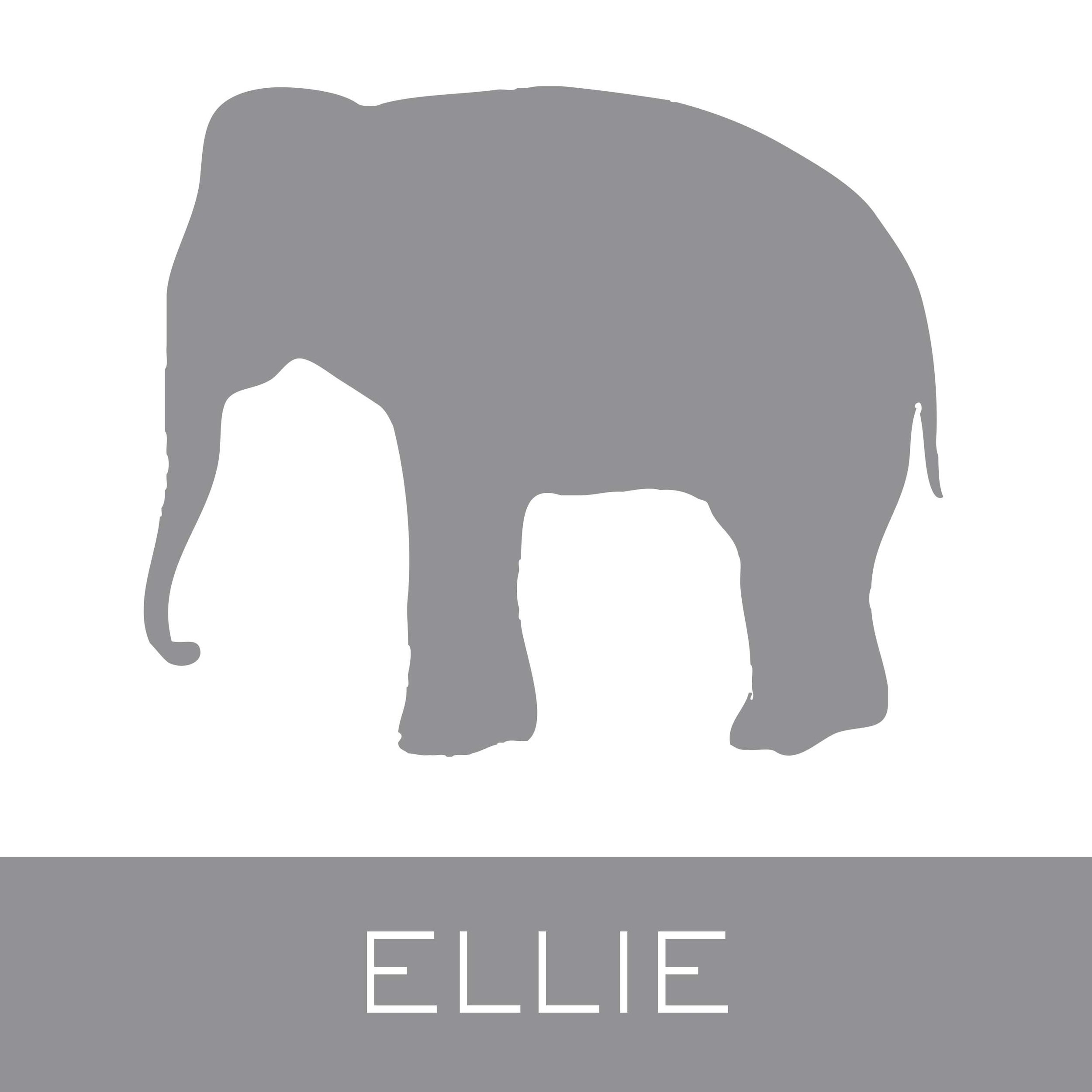 ellie.jpg