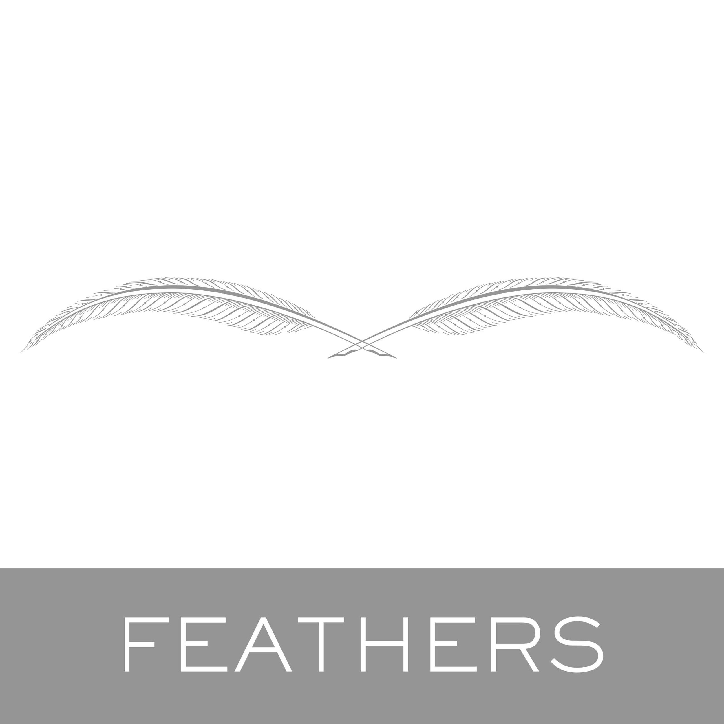 feathers.jpg