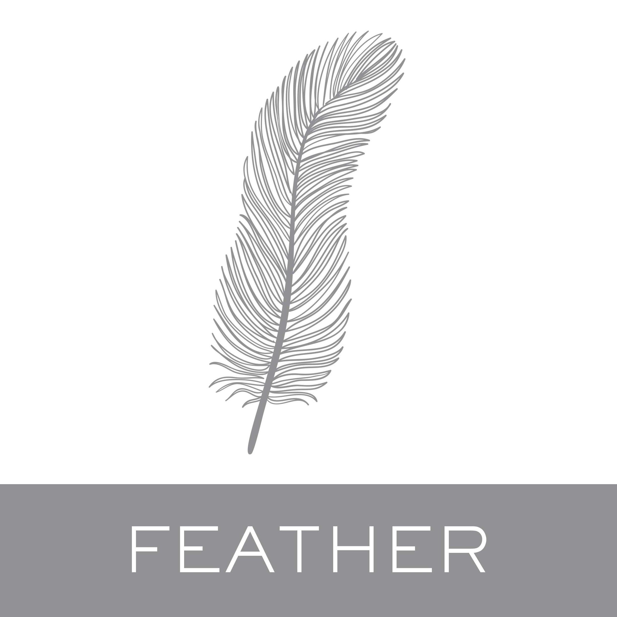 feather.jpg