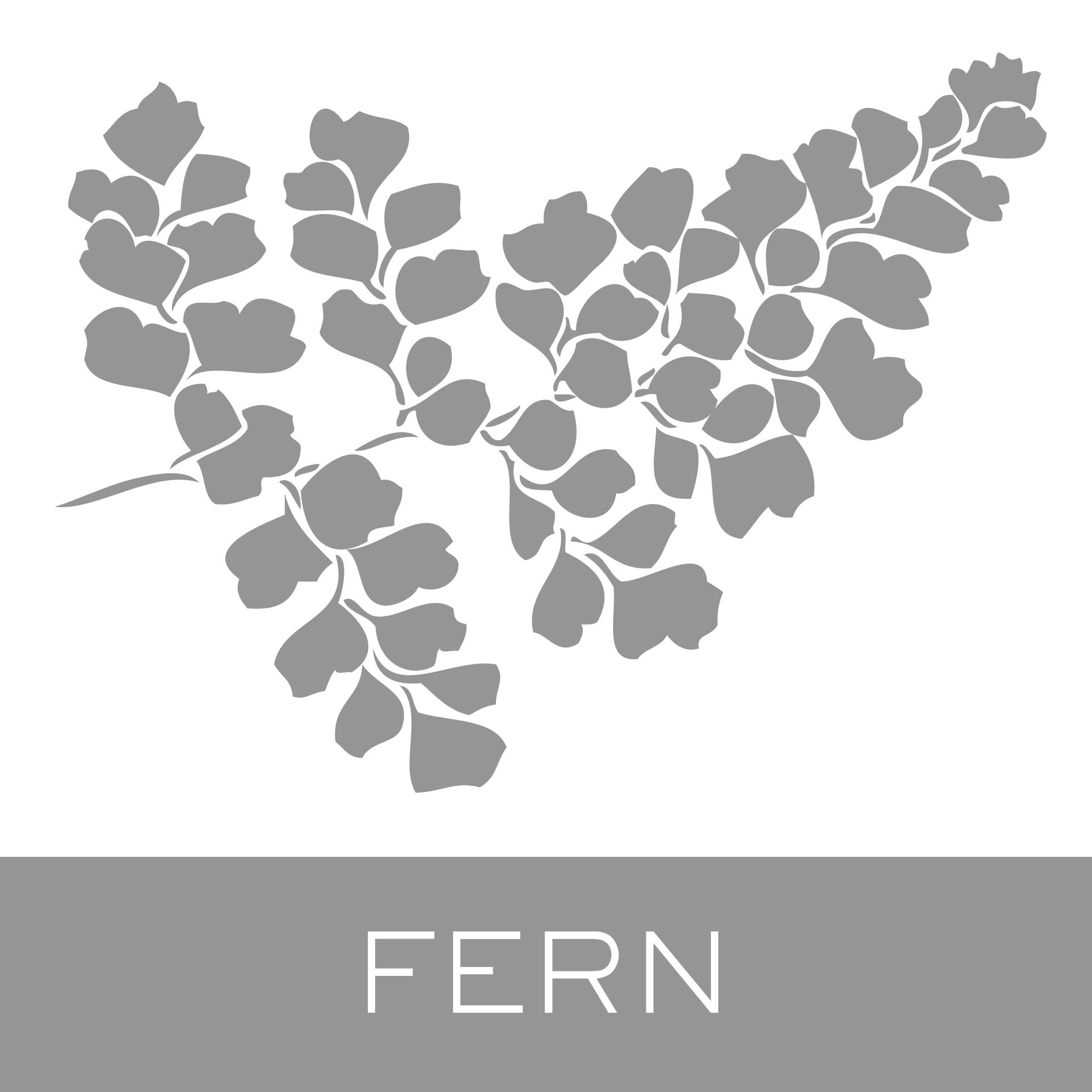 fern.jpg