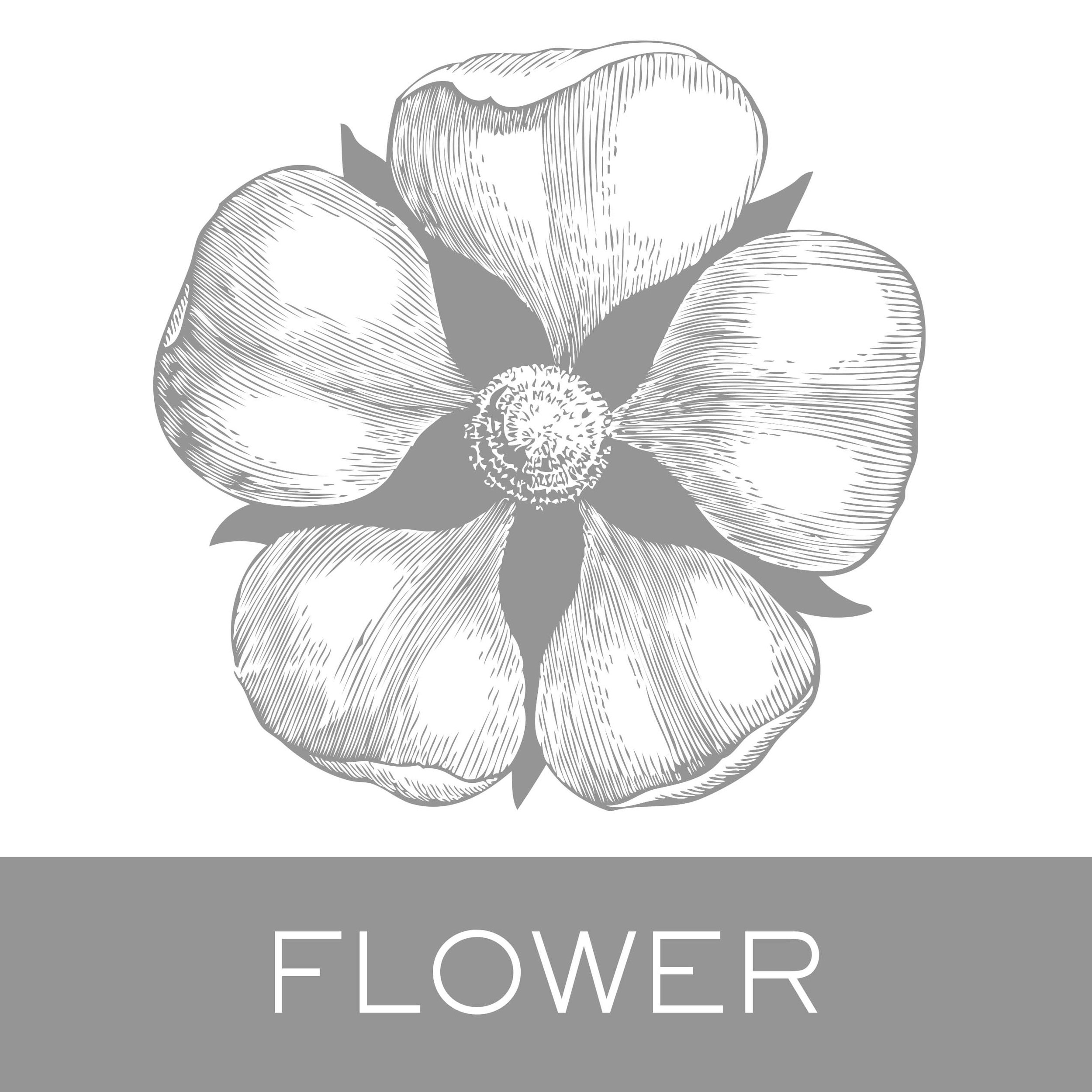 flower.jpg