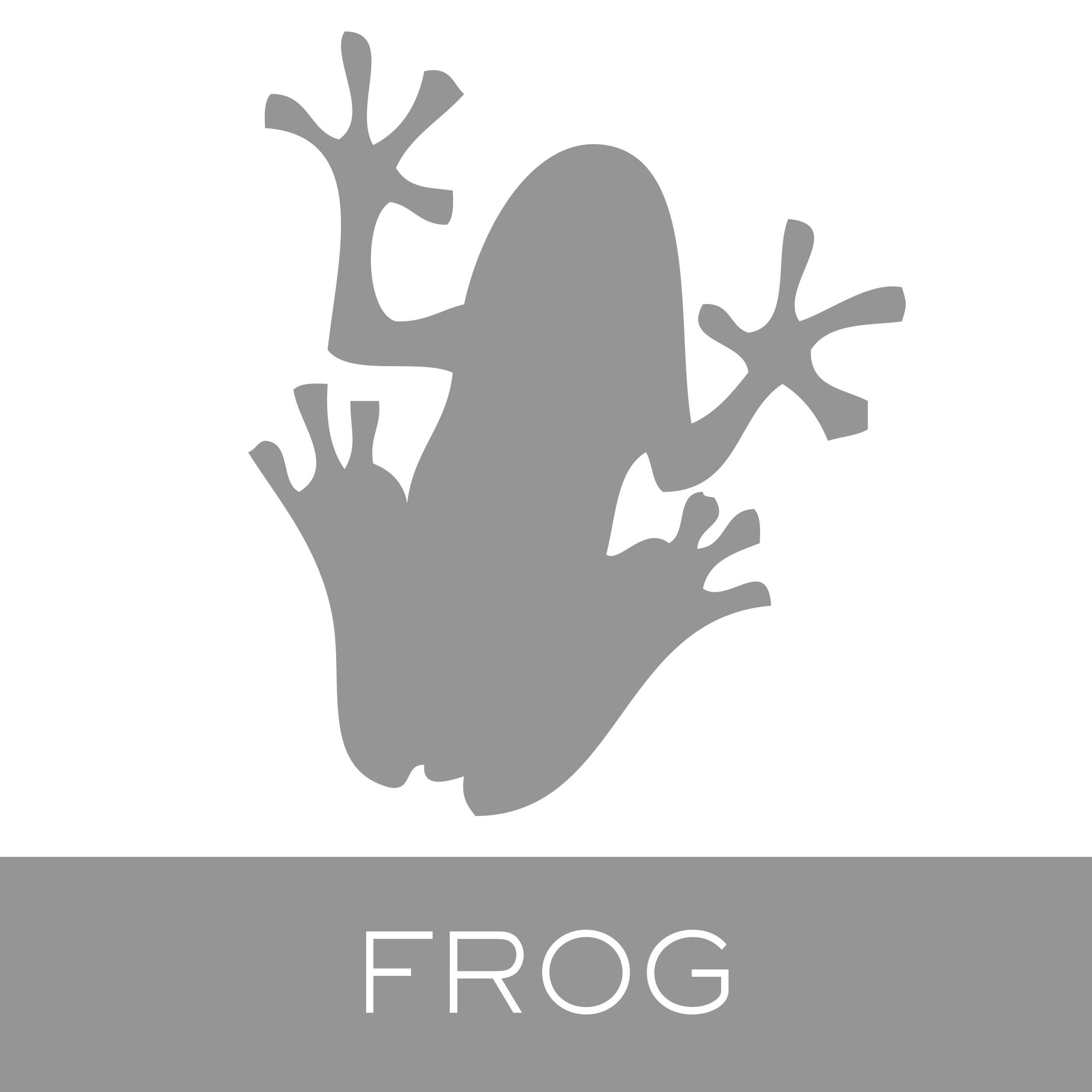 frog.jpg