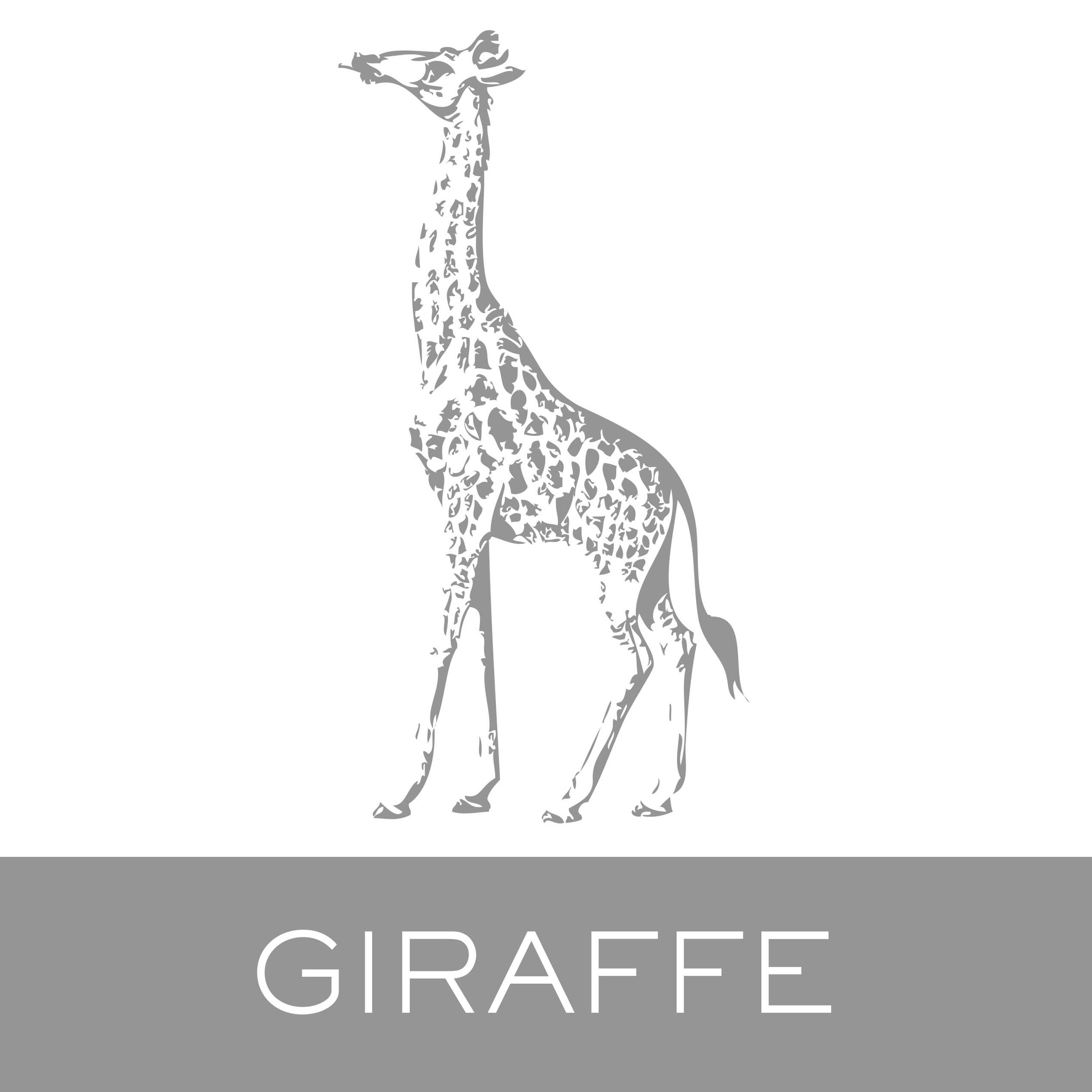 giraffe.jpg