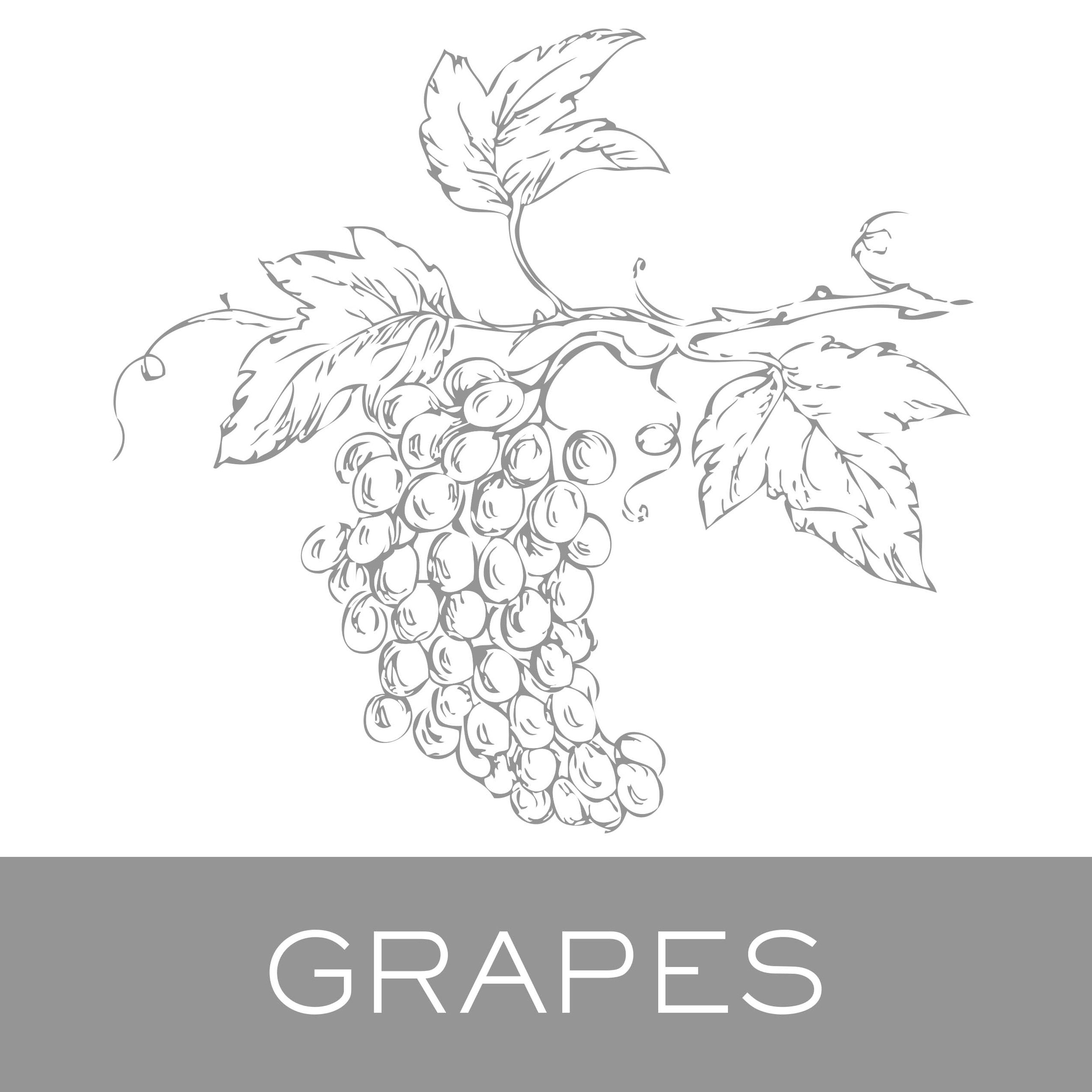 grapes.jpg