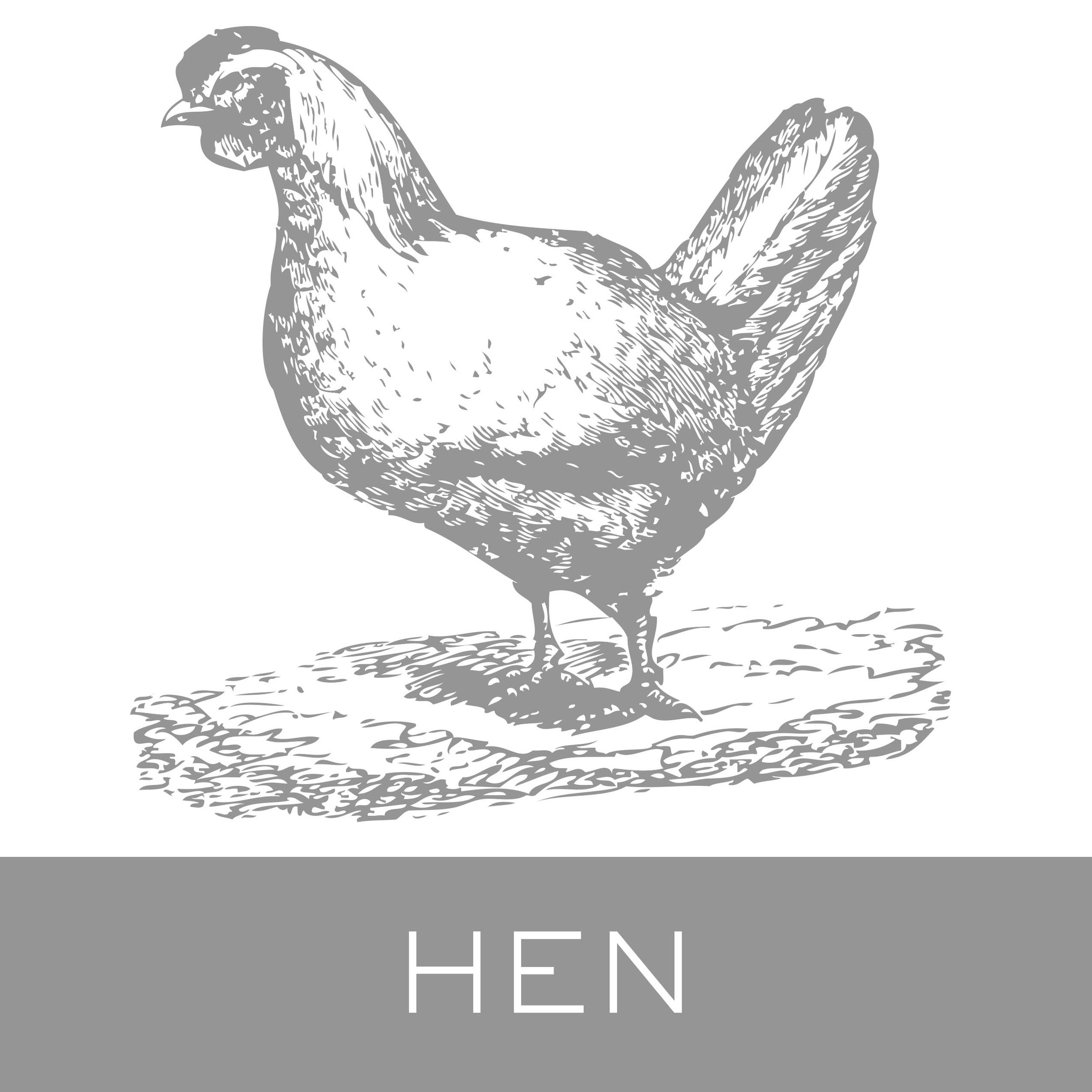 hen.jpg