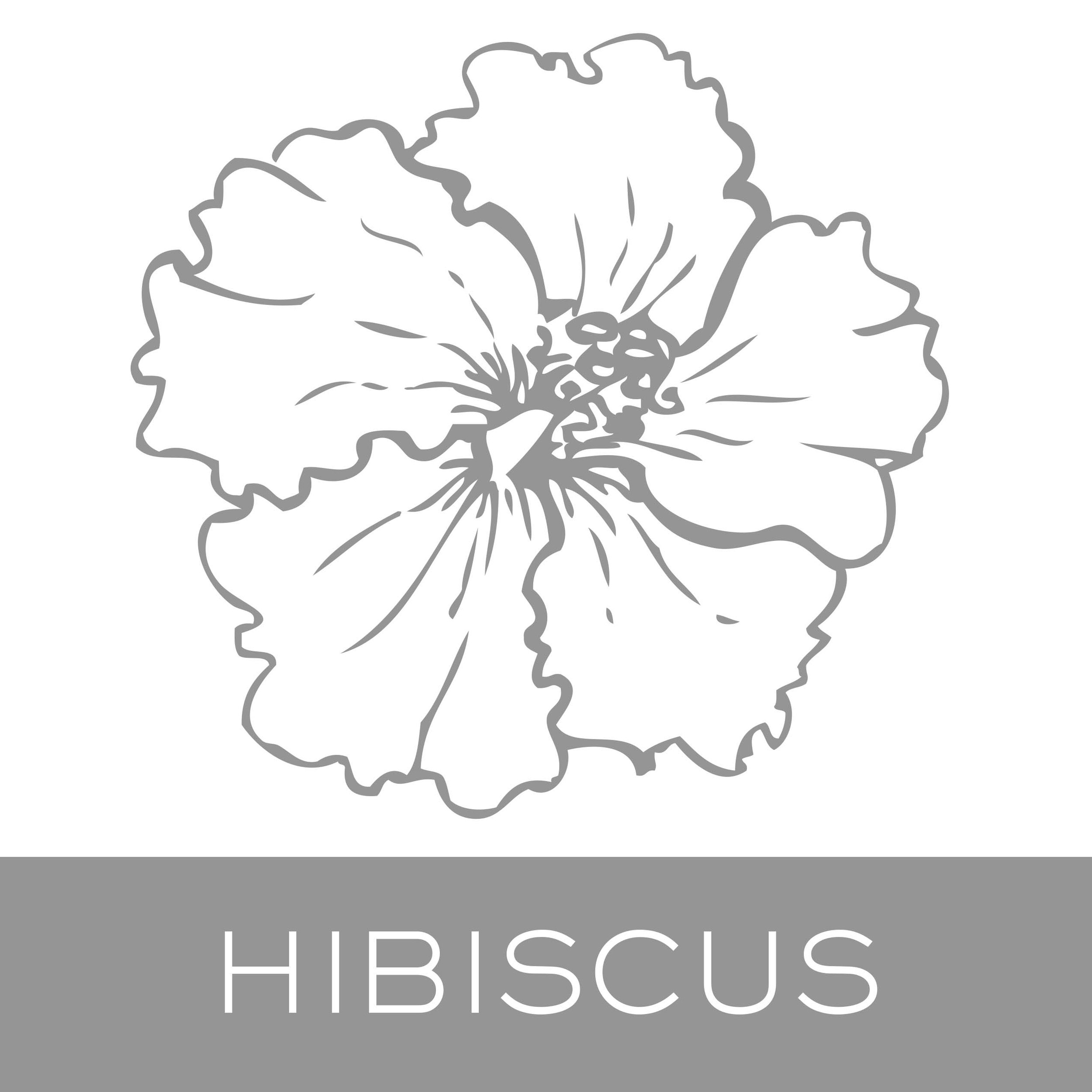 hibiscus.jpg