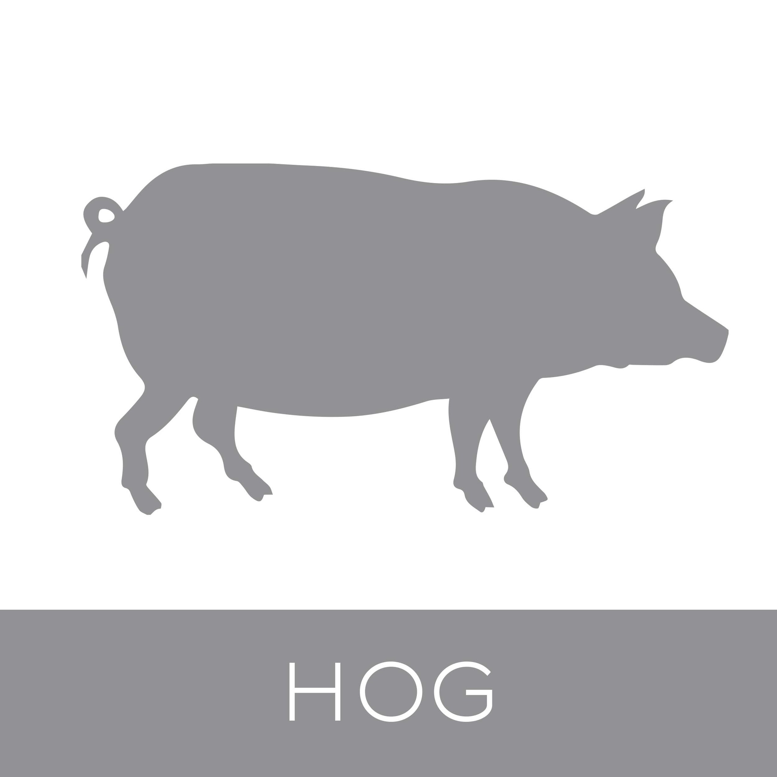 hog.jpg