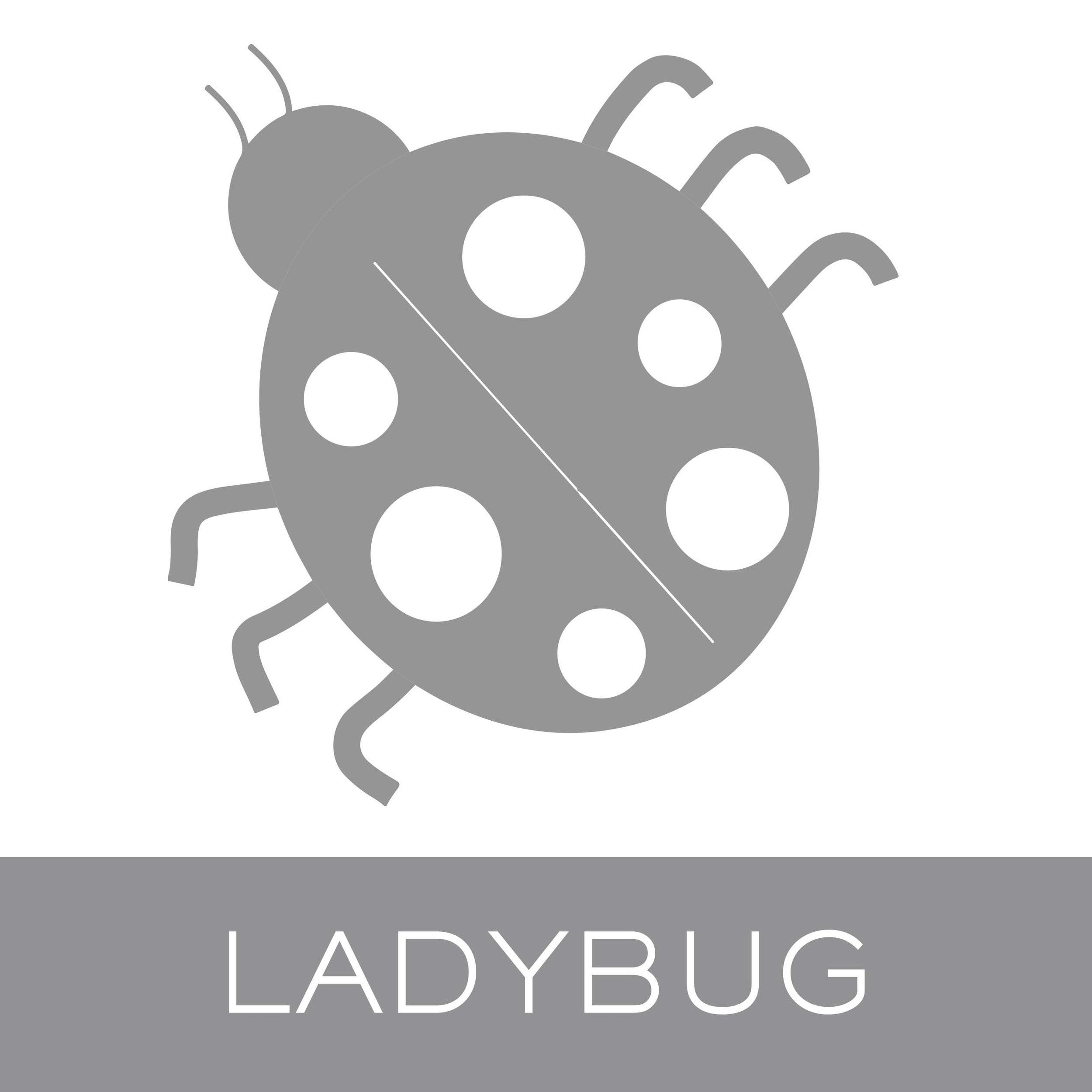 ladybug.jpg