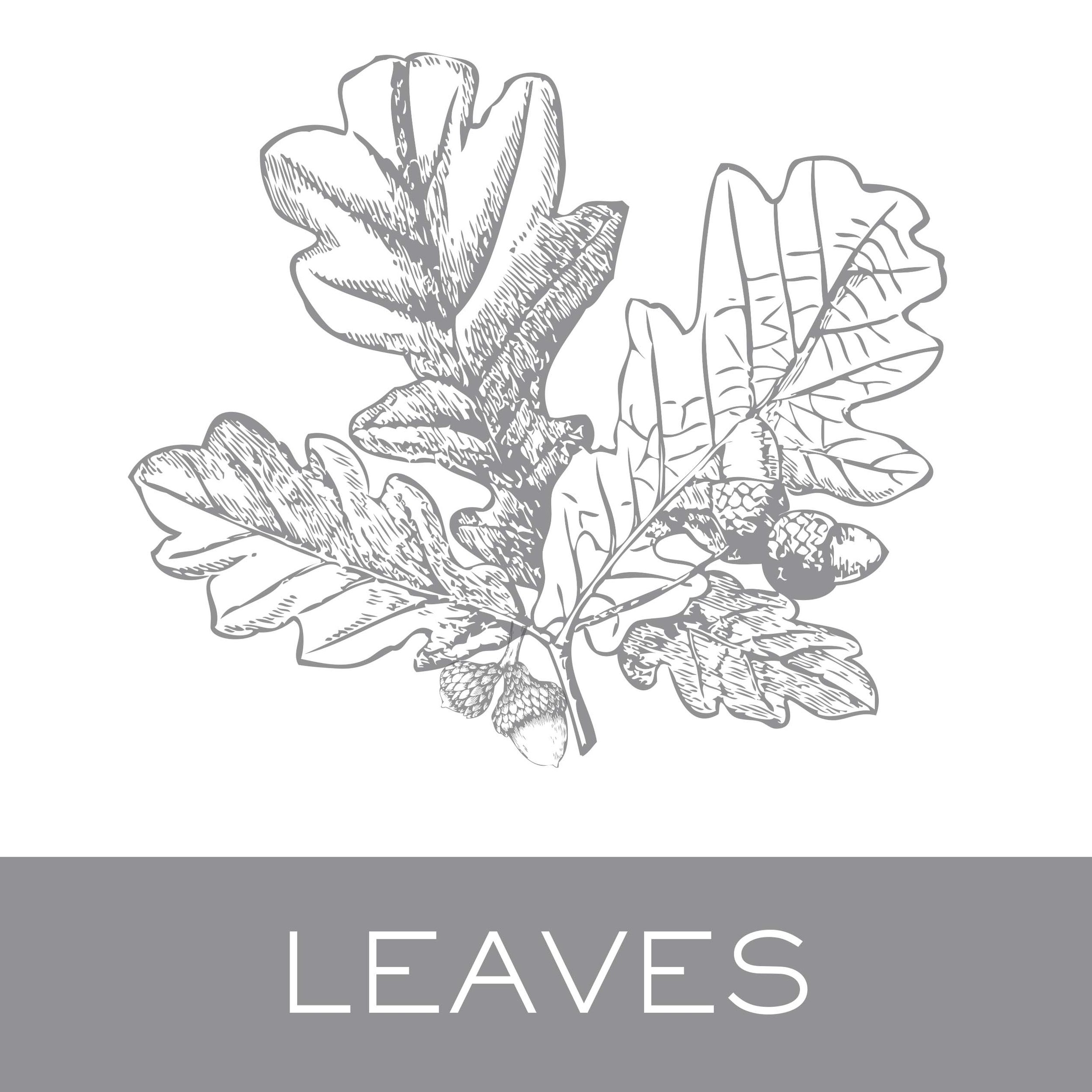 leaves.jpg