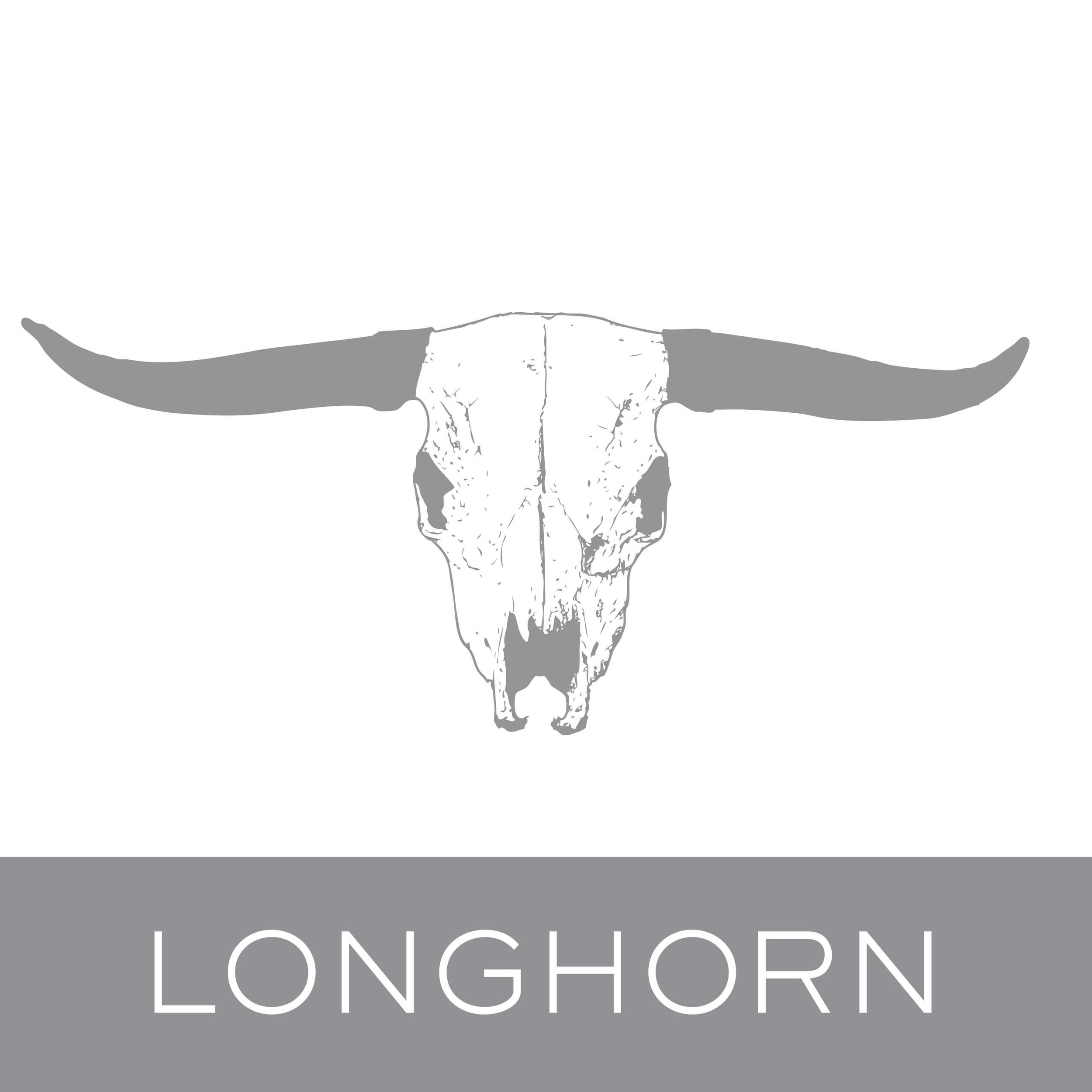 longhorn.jpg