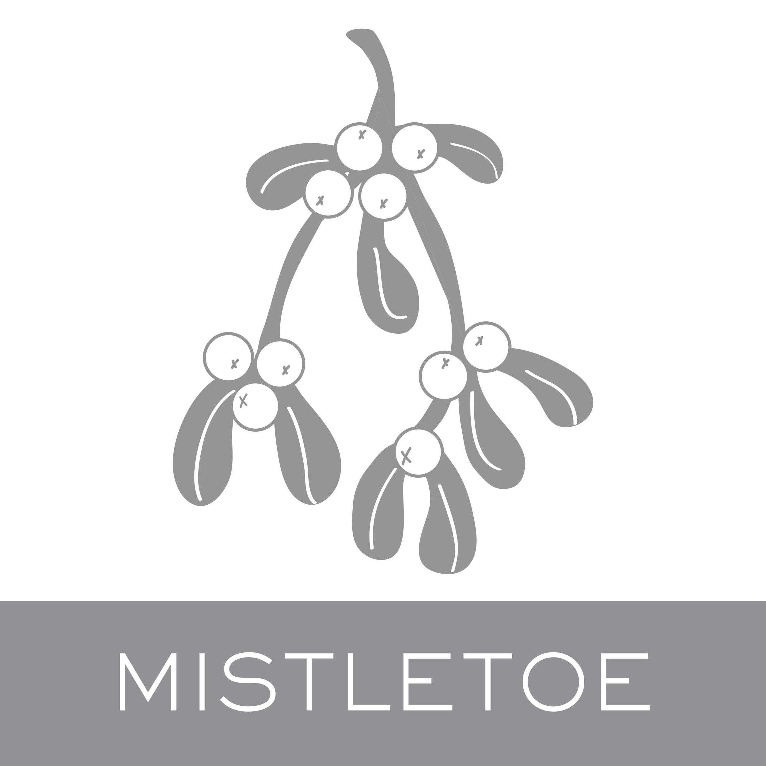mistletoe.jpg