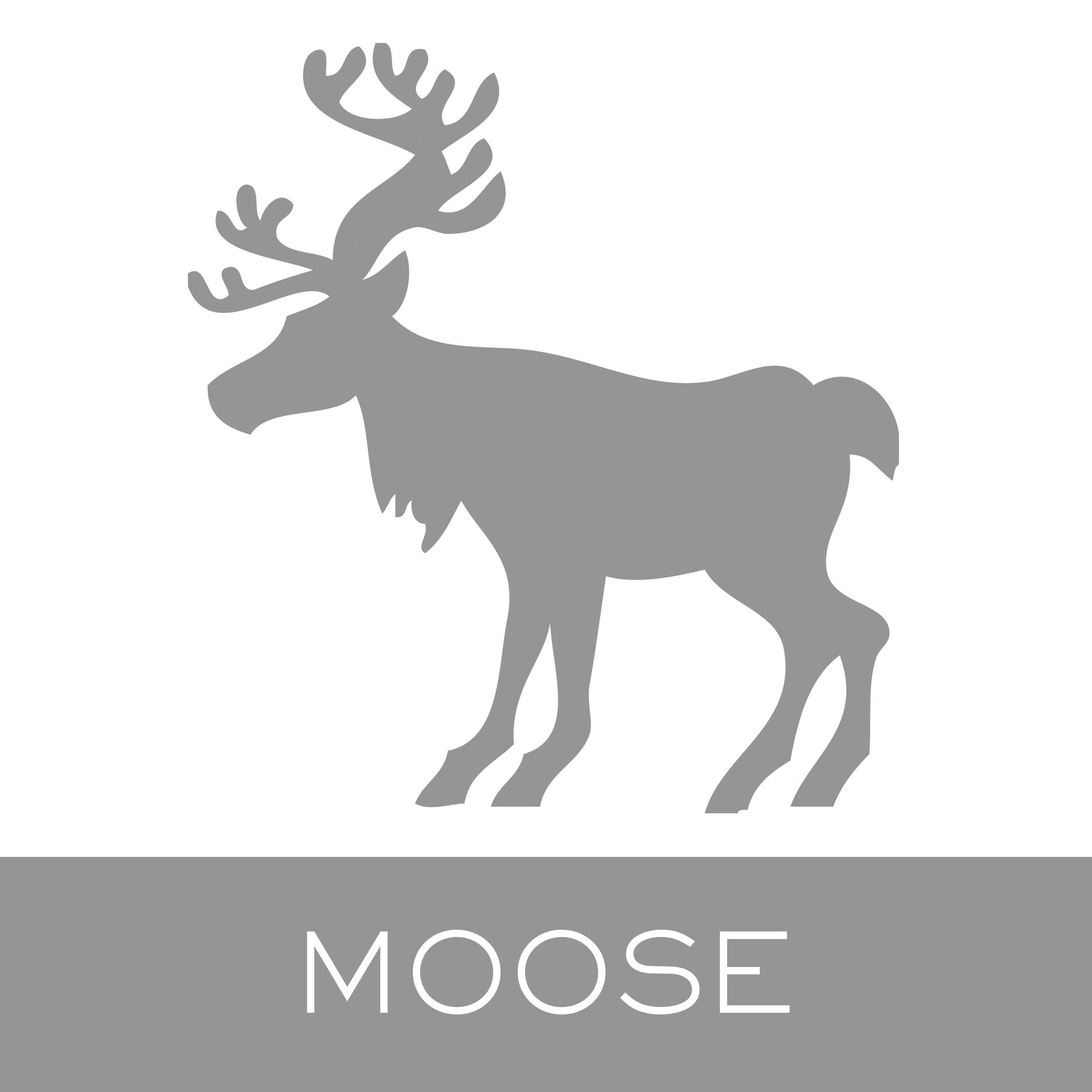 moose.jpg