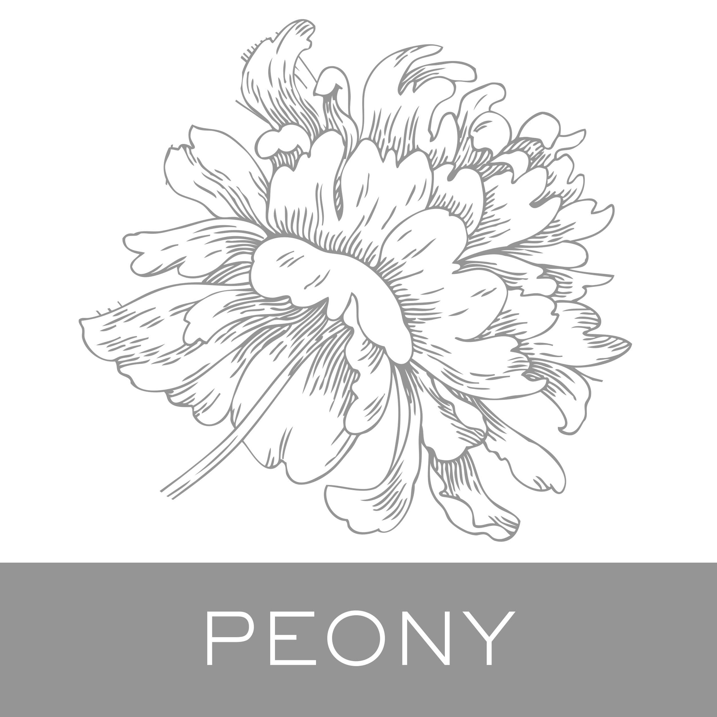 peony.jpg